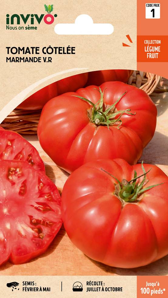 Invivo Nous On Sème - Tomate Côtelée Marmande V.R sachet de 0,8g - Série 1 - INVIVO Nous on sème - Image 1