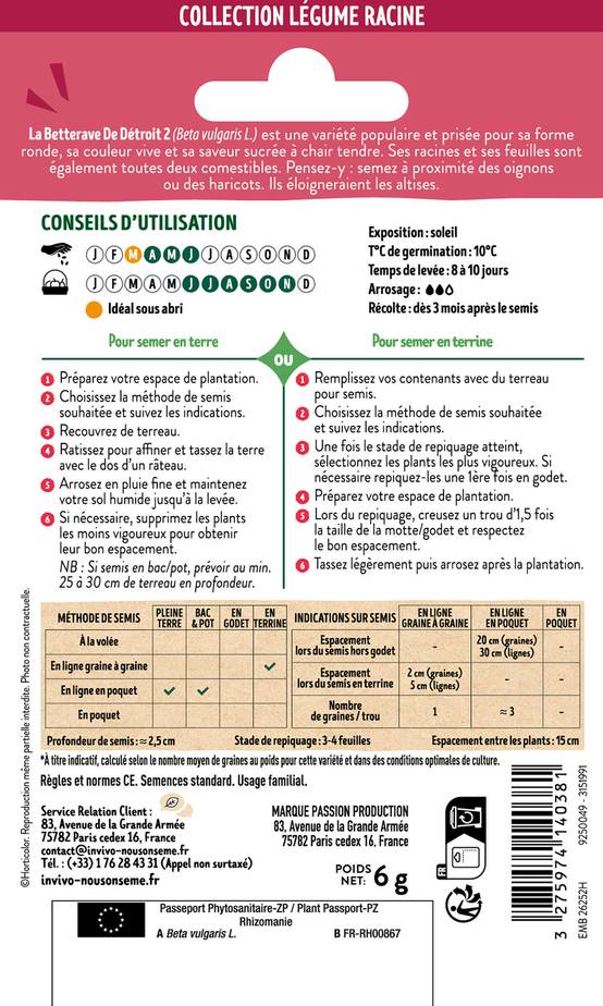 Invivo Nous On Sème - Betterave Potagère de Détroit 2 sachet de 6g - Série 1 - INVIVO Nous on sème - Image 2