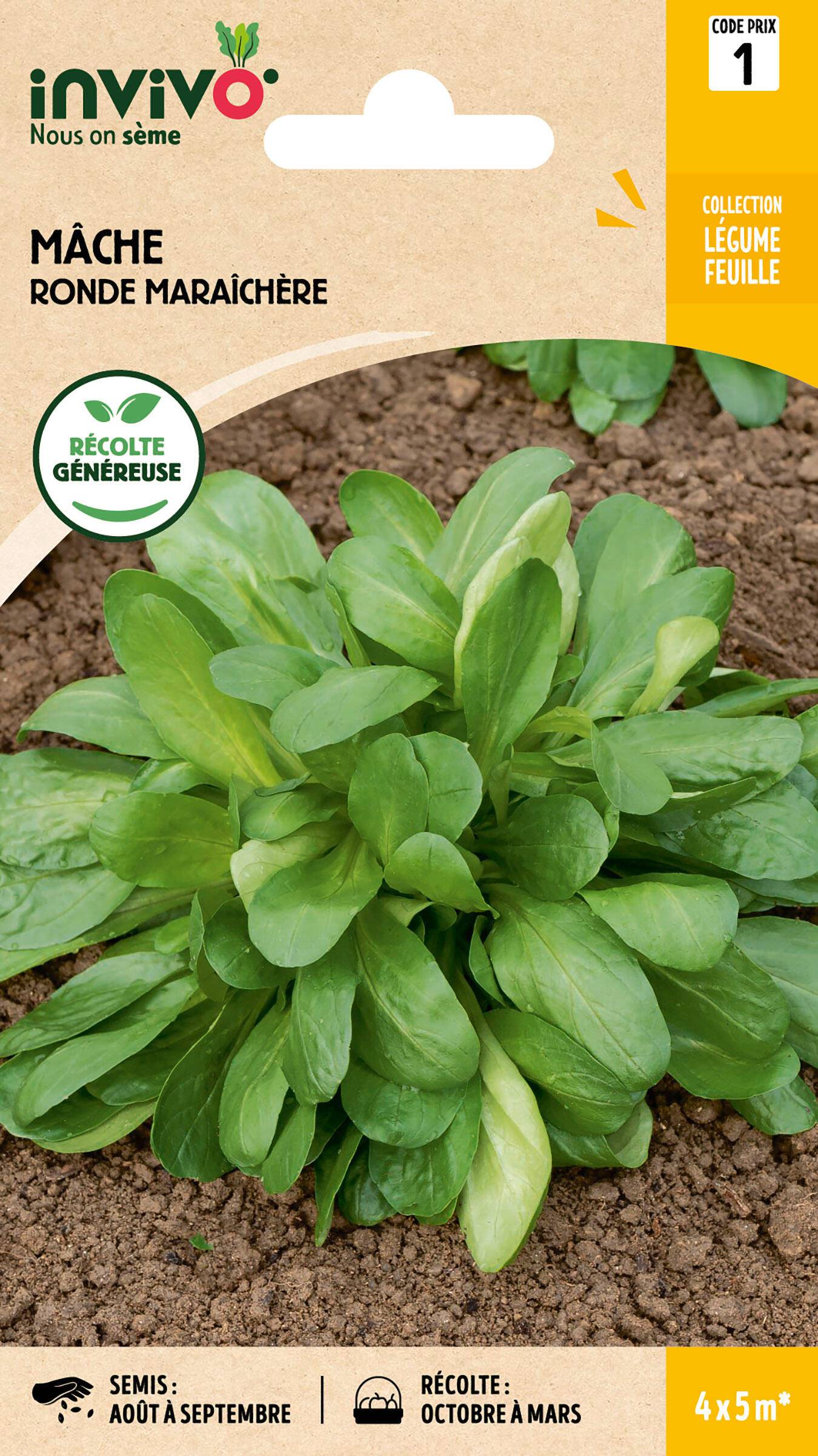 Invivo Nous On Sème - Mache Ronde Maraîchère sachet de 4g - Série 1 - INVIVO Nous on sème - Image 1