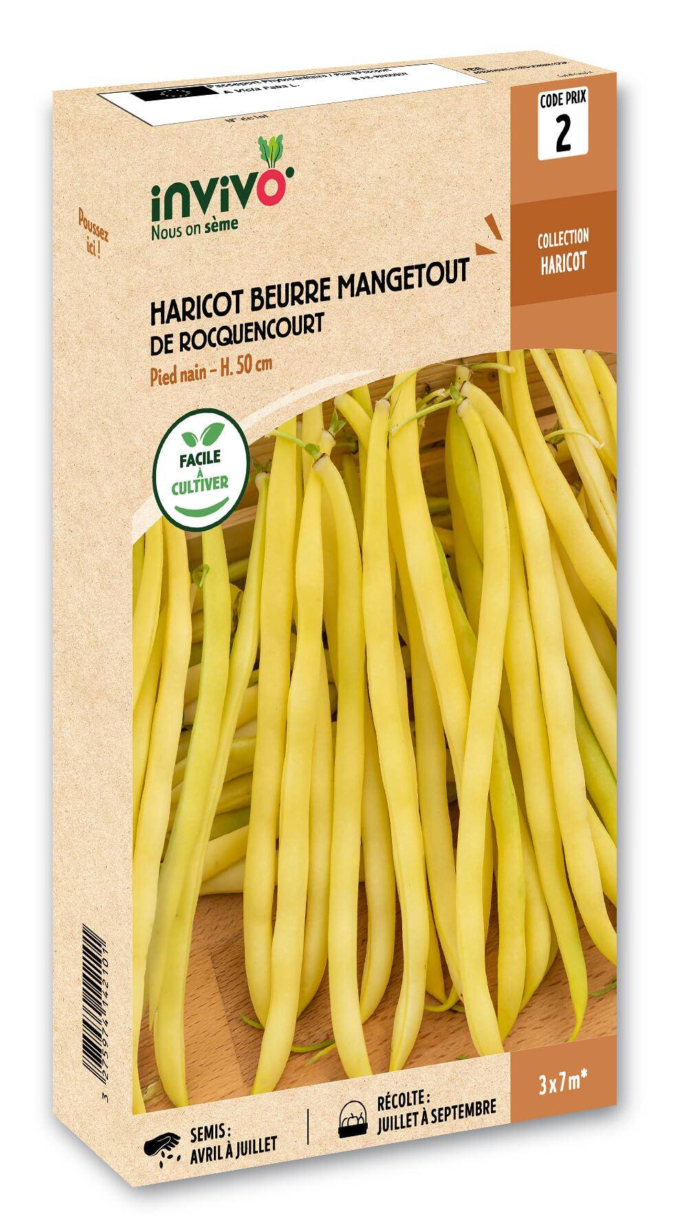 Invivo Nous On Sème - Haricot Nain Mangetout Beurre de Rocquencourt boîte de 200g - Série 2 - INVIVO Nous on sème