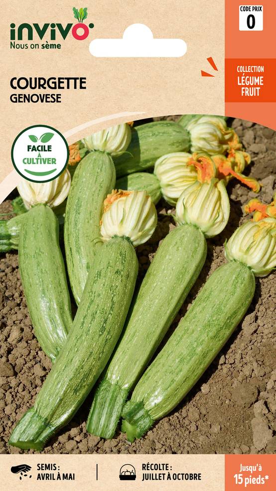 Invivo Nous On Sème - Courgette Genovese sachet de 4g - Série 0 - INVIVO Nous on sème - Image 1