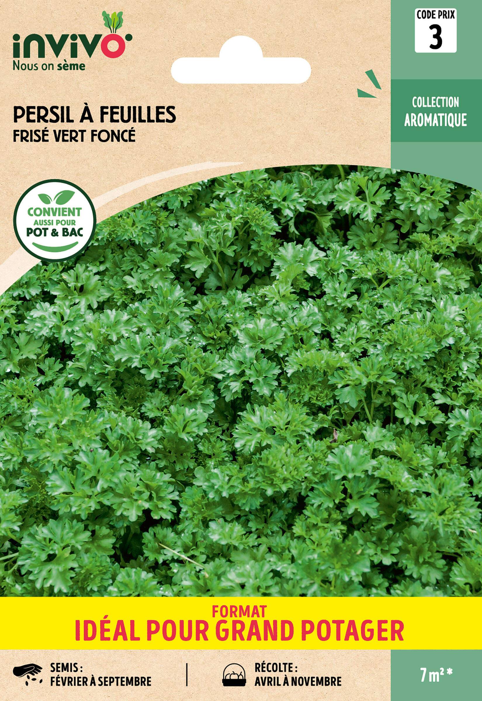 Invivo Nous On Sème - Persil à feuilles frisé vert foncé graines sachet 13 g - INVIVO Nous on sème