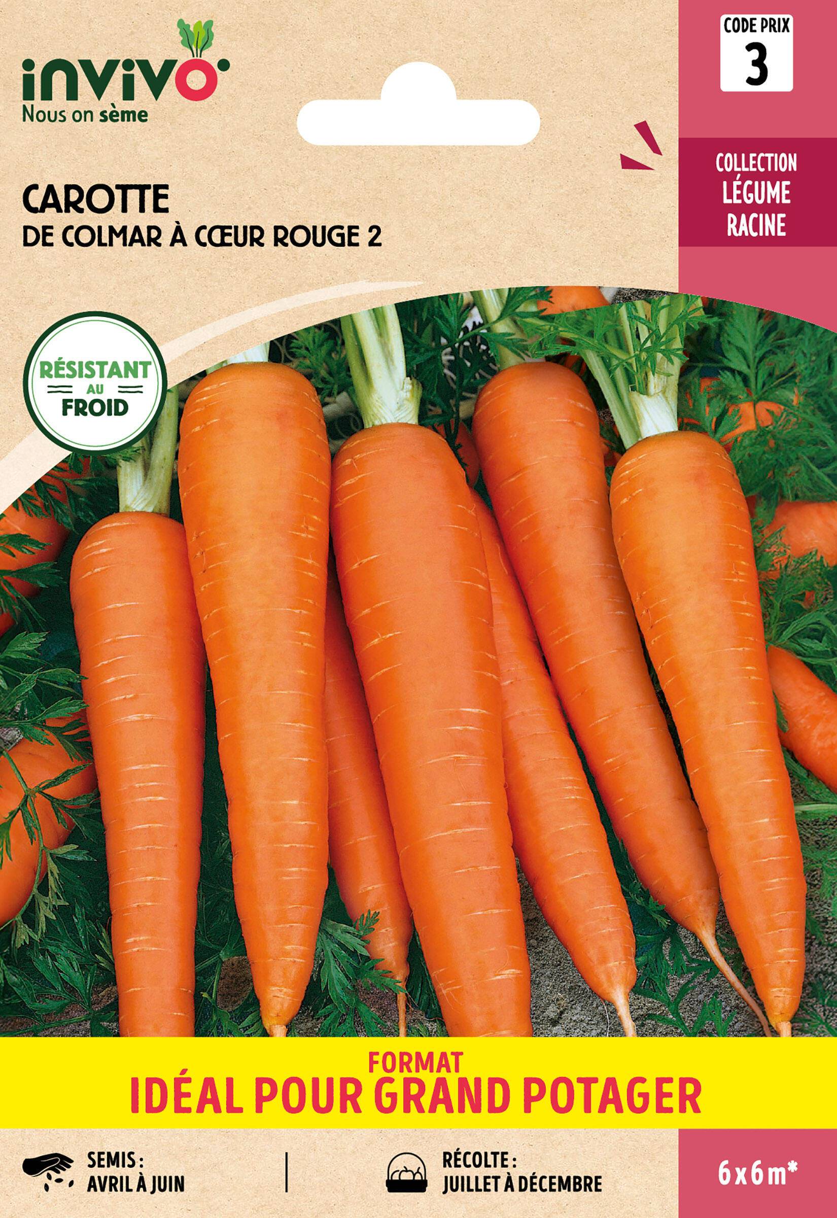 Invivo Nous On Sème - Carotte de Colmar à Cœur Rouge 2 sachet de 15g grand modèle - Série 3 - INVIVO Nous on sème