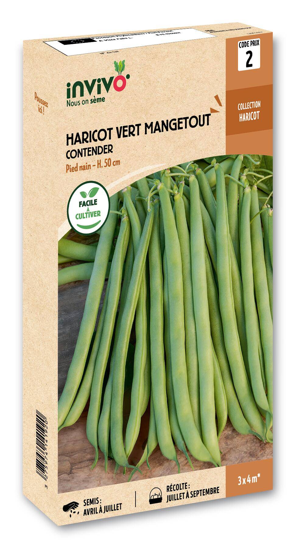 Invivo Nous On Sème - Haricot Nain Vert Mangetout Contender boîte de 200g - Série 2 - INVIVO Nous on sème - Image 1