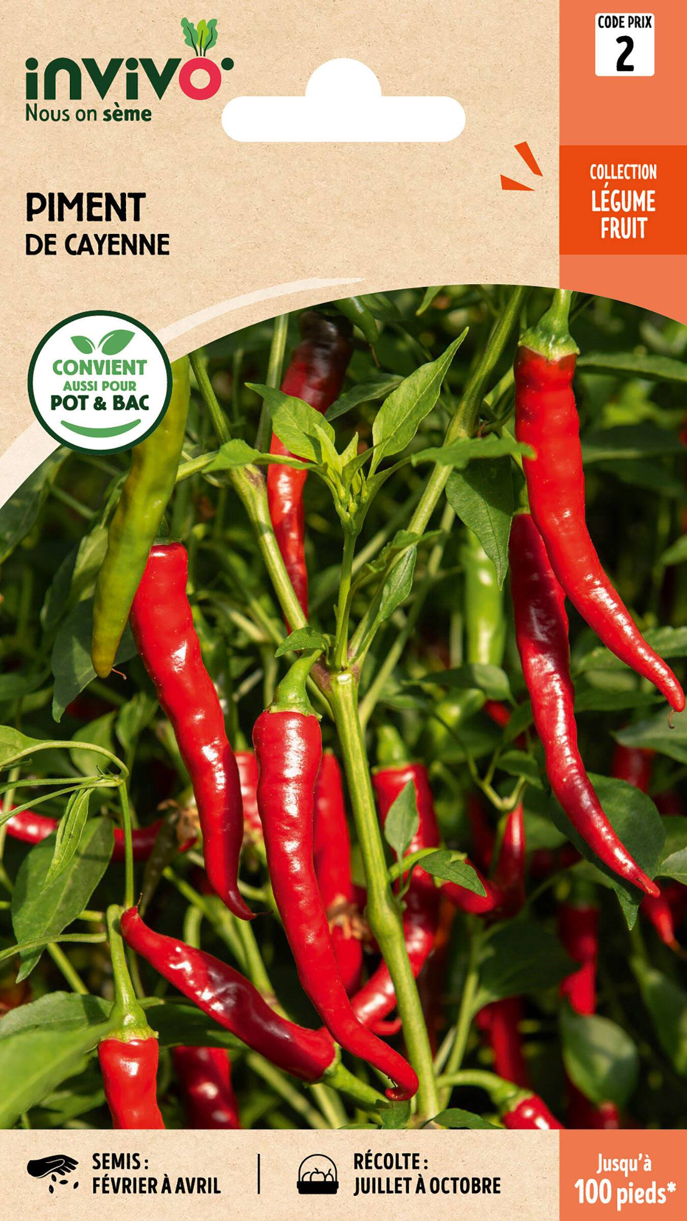 Invivo Nous On Sème - Piment de Cayenne sachet de 2g - Série 2 - INVIVO Nous on sème