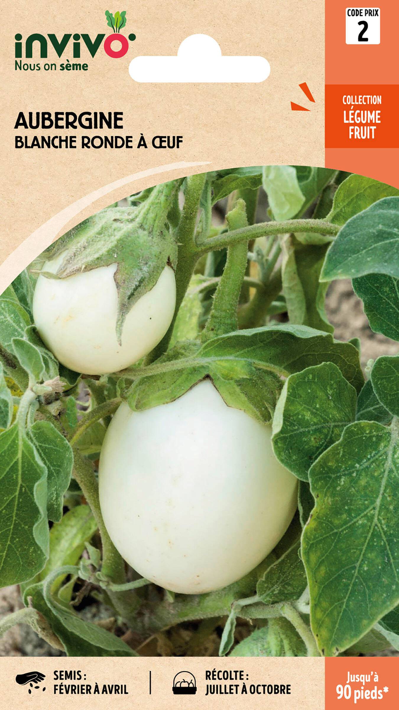 Invivo Nous On Sème - Aubergine Blanche Ronde à Œuf sachet de 1,5g - Série 2 - INVIVO Nous on sème