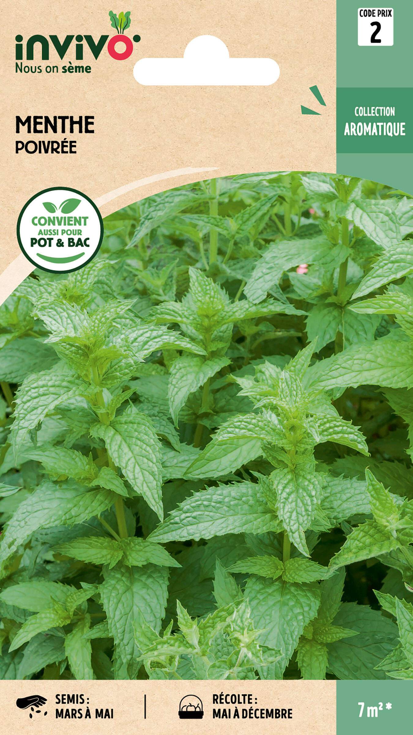 Invivo Nous On Sème - Menthe poivrée graines sachet  0,3 g - INVIVO Nous on sème