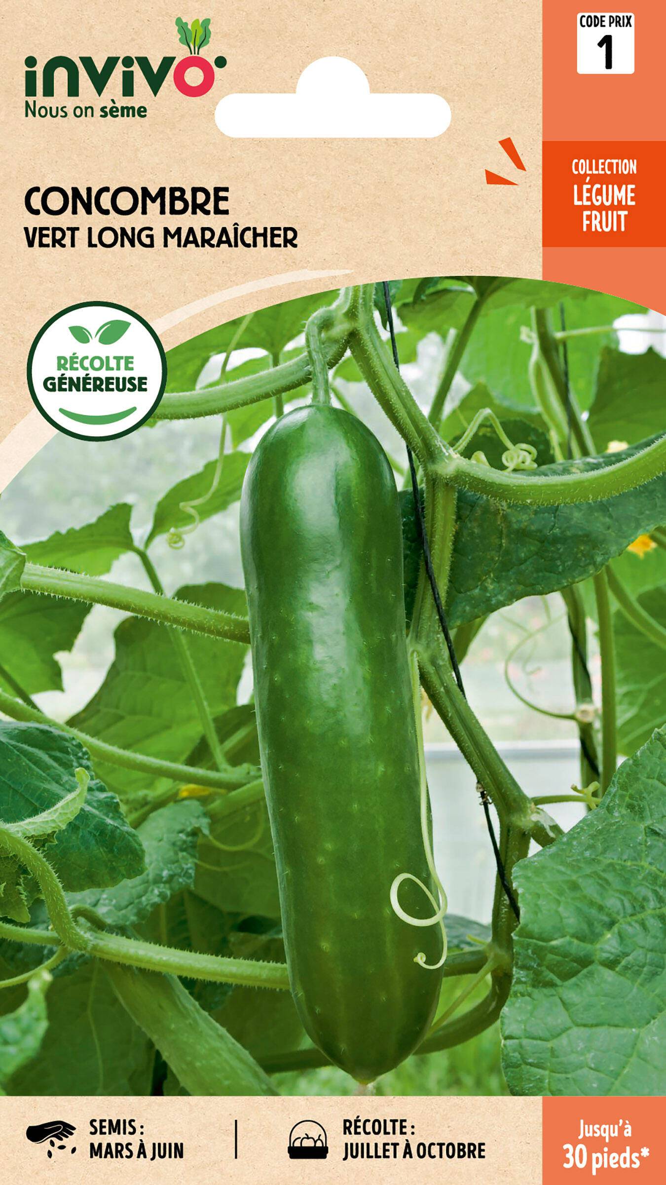 Invivo Nous On Sème - Concombre Vert Long Maraîcher sachet de 3g - Série 1 - INVIVO Nous on sème