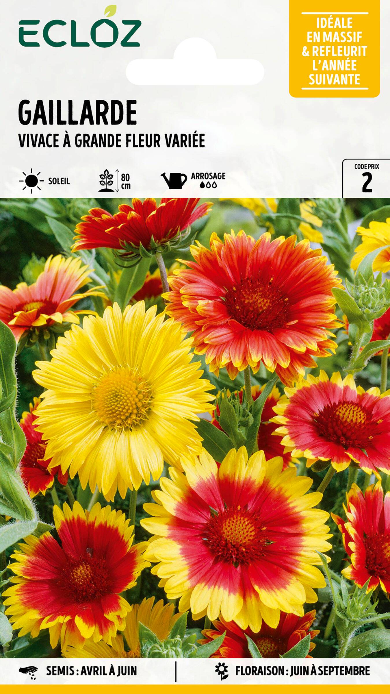 Ecloz - Gaillarde vivace à grande fleur variée graines sachet 1,5 g - ECLOZ - Image 1