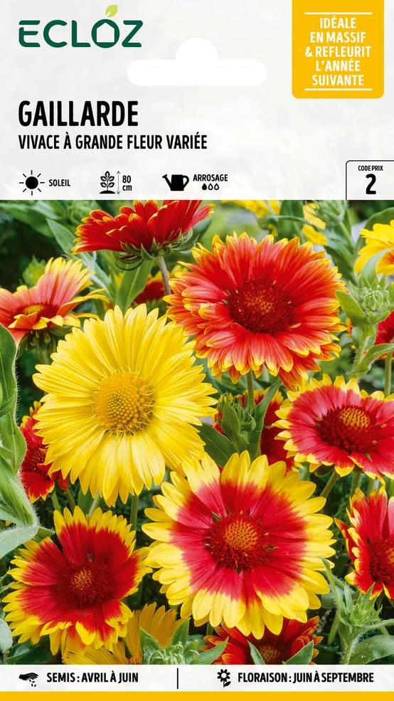 Ecloz - Gaillarde vivace à grande fleur variée graines sachet 1,5 g - ECLOZ
