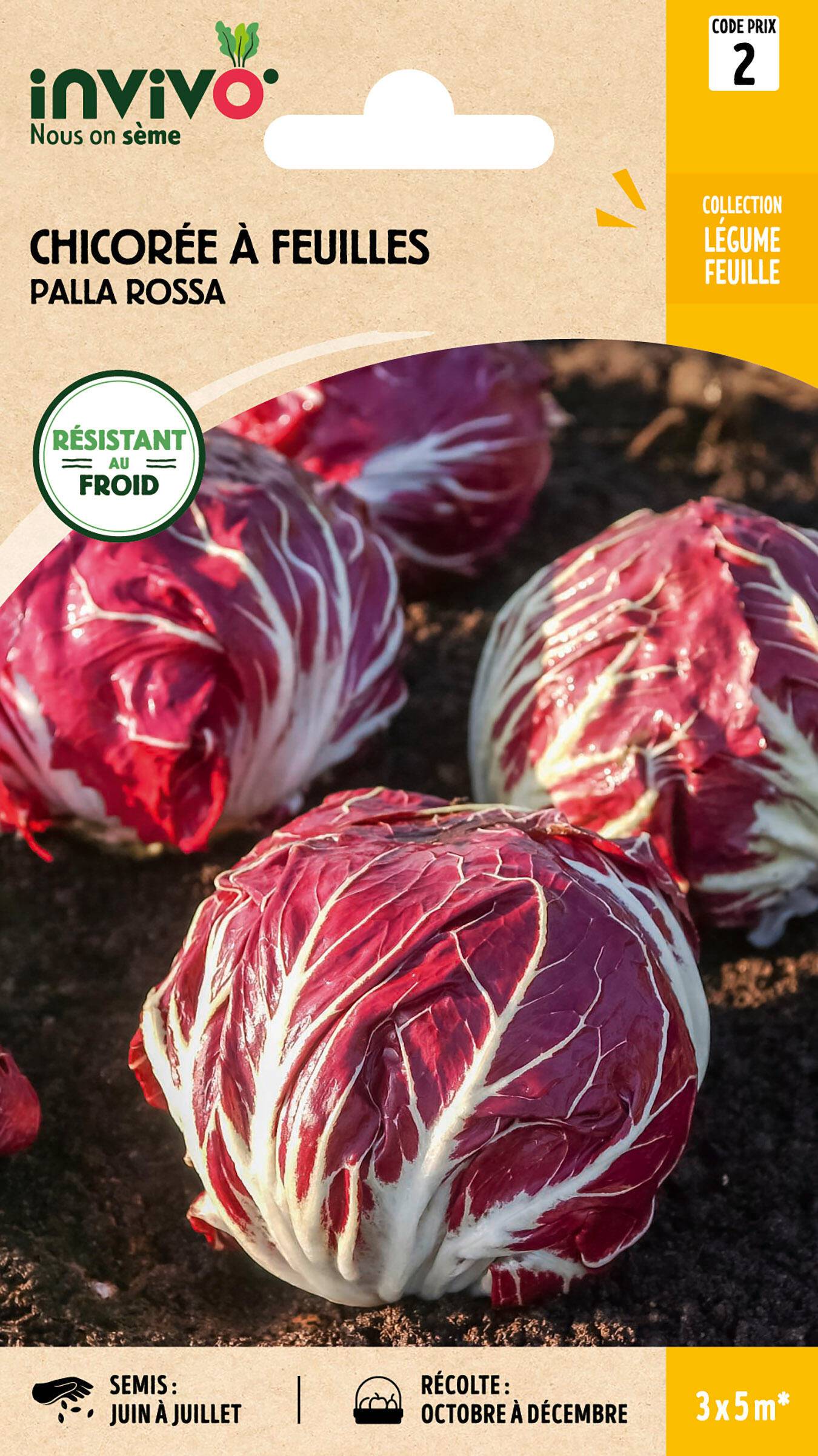Invivo Nous On Sème - Chicorée à Feuilles Palla Rossa sachet de 4g - Série 2 - INVIVO Nous on sème