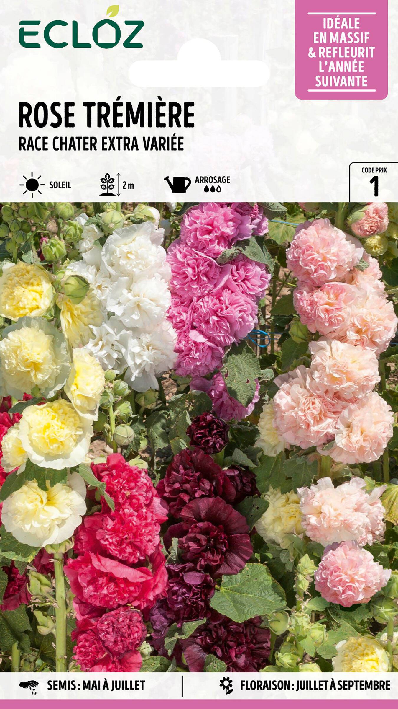 Ecloz - Rose Trémière Race Chater variée Extra graines sachet 1,2 g - ECLOZ