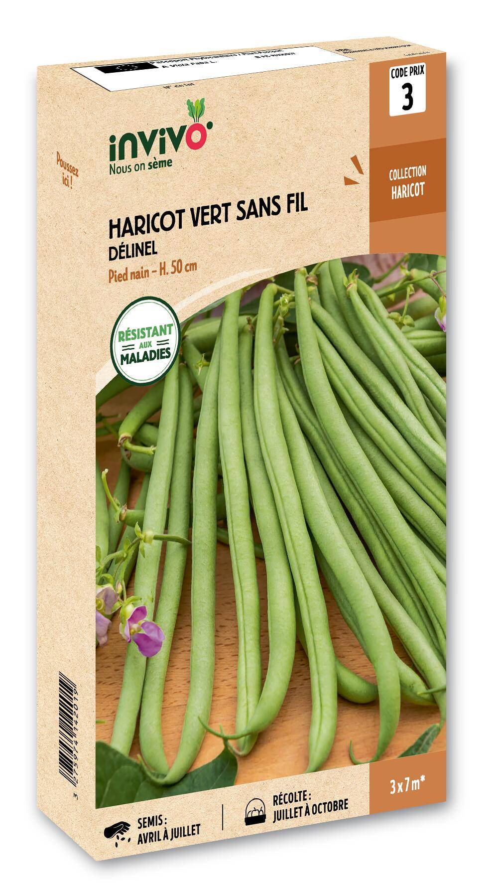 Invivo Nous On Sème - Haricot Nain Vert à Filet Sans Fil Délinel boîte de 200g - Série 3 - INVIVO Nous on sème - Image 1