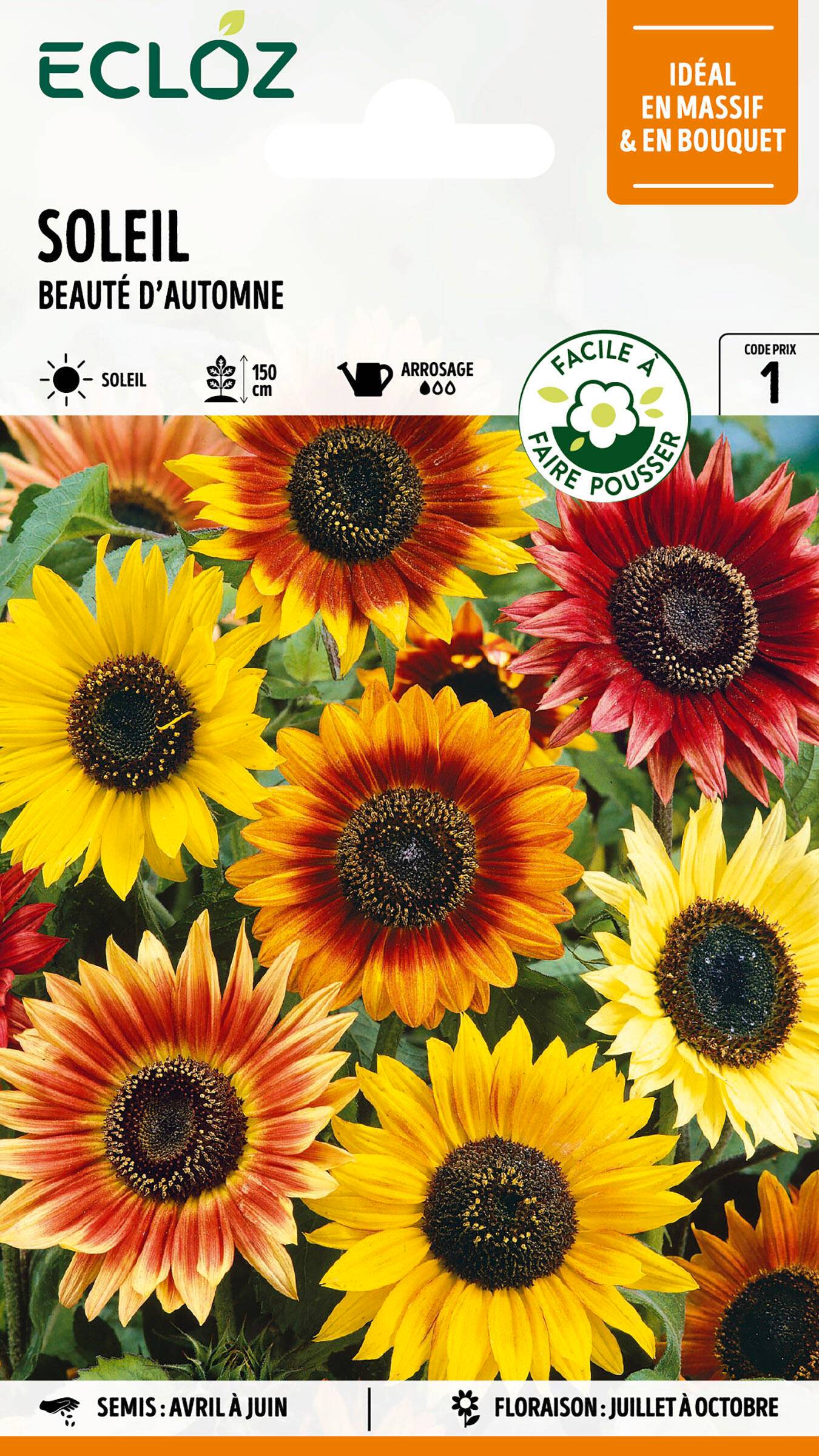 Ecloz - Soleil Beauté d'Automne graines sachet 3 g - ECLOZ