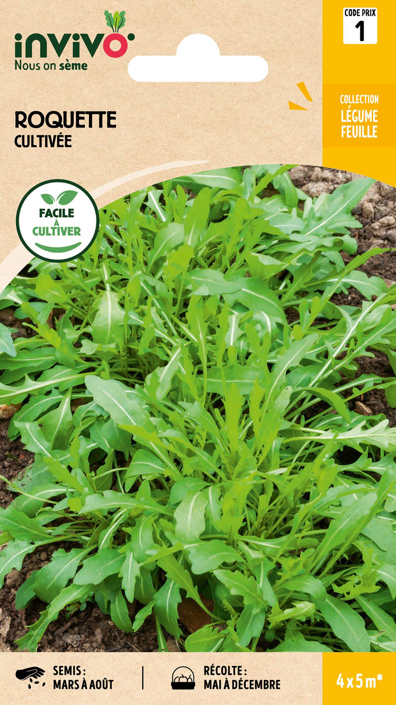 Invivo Nous On Sème - Roquette Cultivée sachet de 5g - Série 1 - INVIVO Nous on sème - Image 1