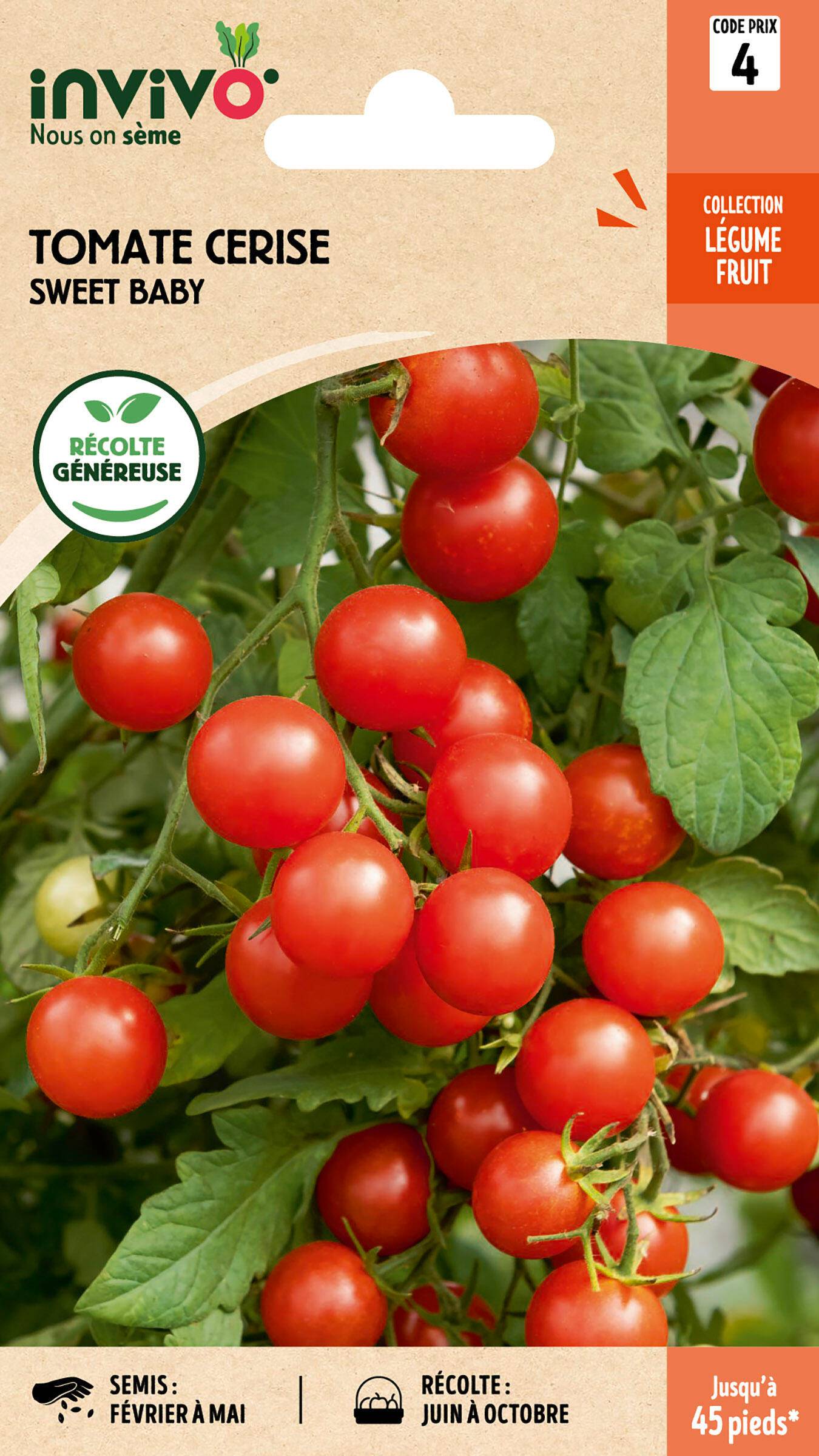 Invivo Nous On Sème - Tomate Cerise Sweet Baby sachet de 0,2g - Série 4 - INVIVO Nous on sème - Image 1