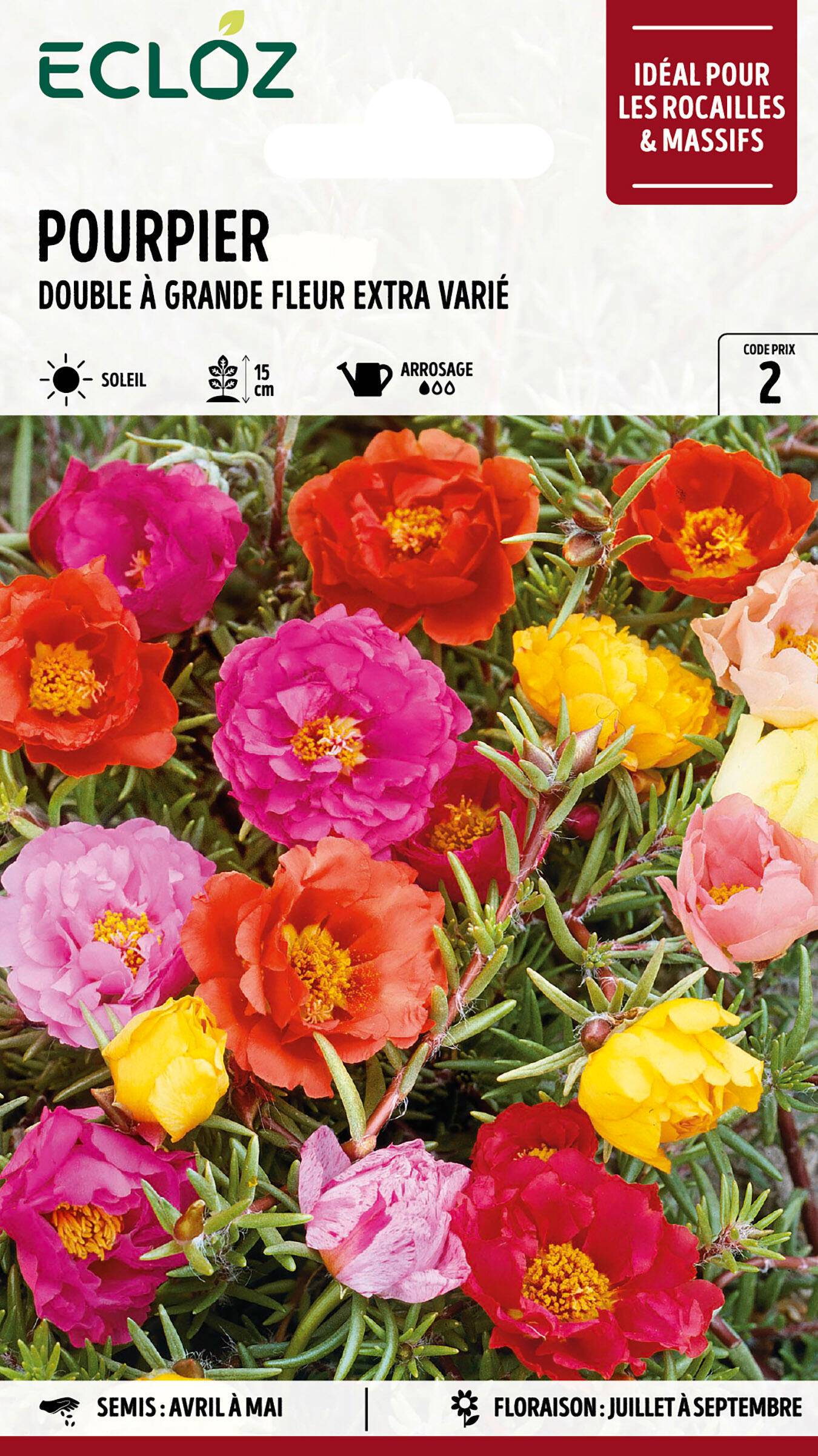 Ecloz - Pourpier double à grande fleur varié Extra graines sachet 1 g - ECLOZ