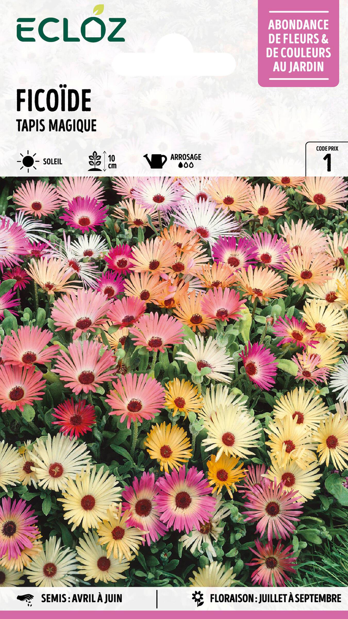 Ecloz - Ficoïde Tapis magique graines sachet 1,2 g - ECLOZ