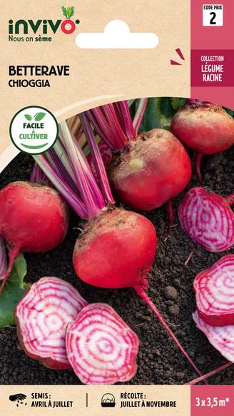 Invivo Nous On Sème - Betterave Potagère Chioggia sachet de 6g - Série 2 - INVIVO Nous on sème