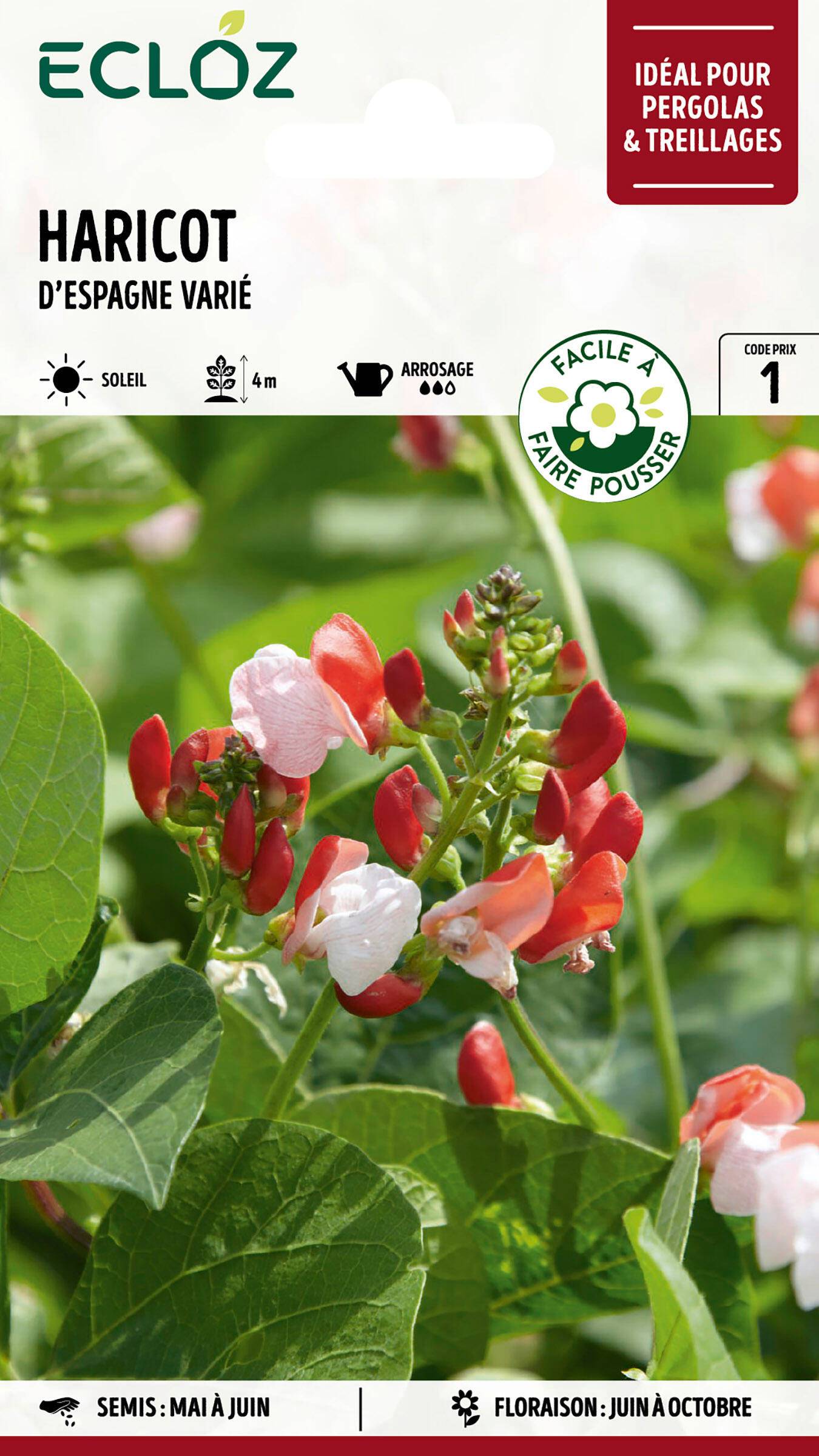 Ecloz - Haricot d'Espagne varié graines sachet 15 g - ECLOZ