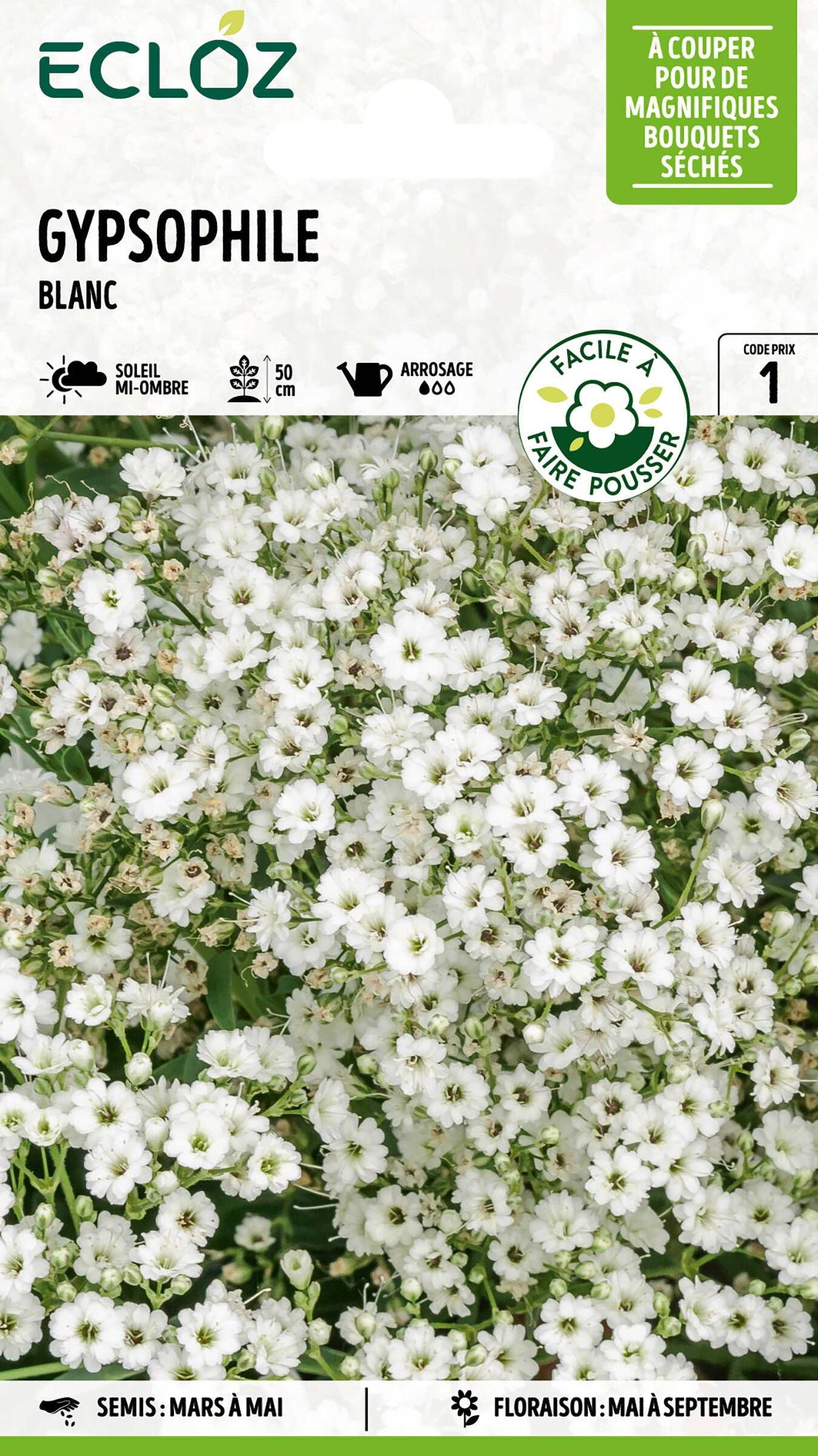 Ecloz - Gypsophile blanc graines sachet 3 g - ECLOZ