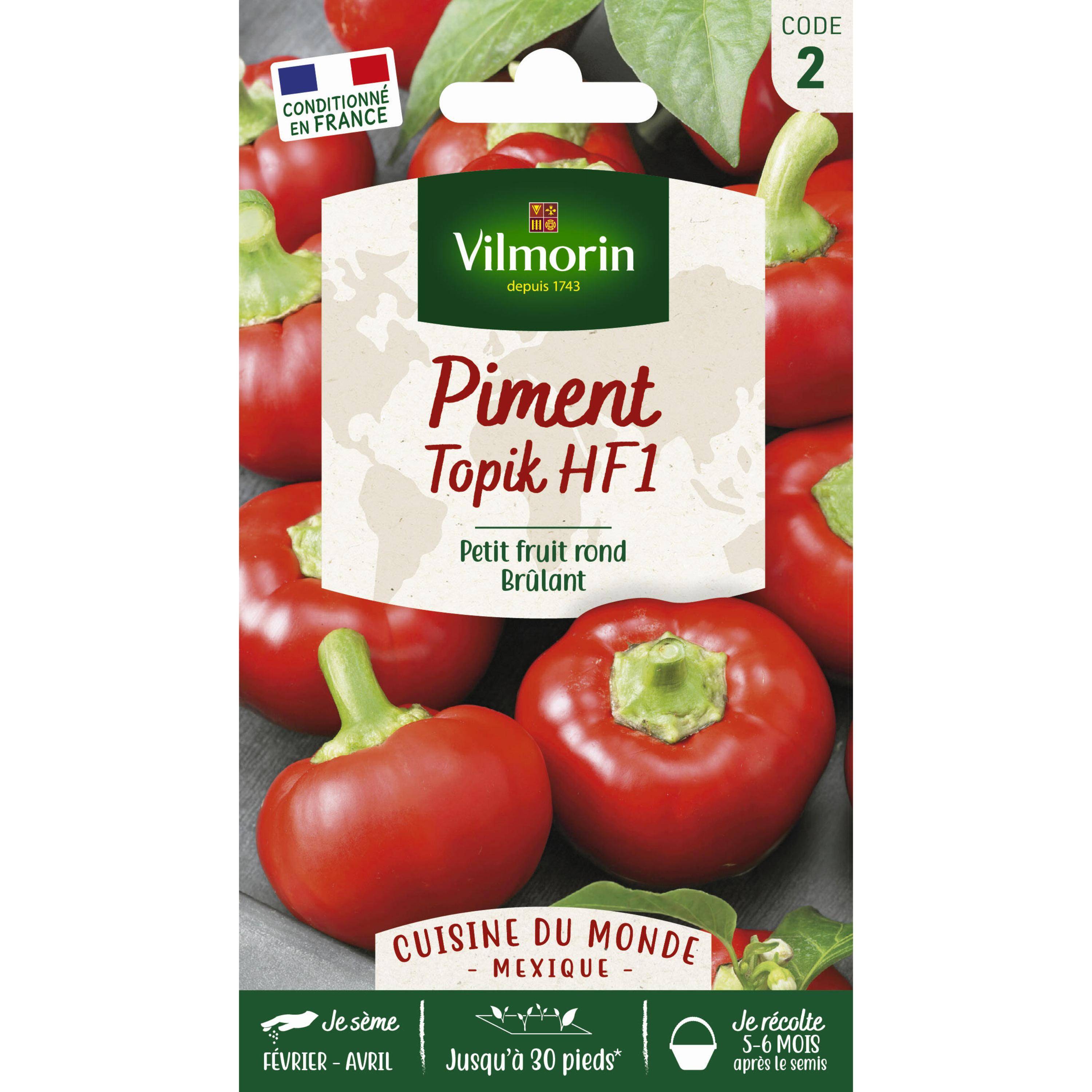 Vilmorin - Piment Topik HF1 - Cuisine du Monde Sachet de 0,5g - Série 2 -Vilmorin - Image 1