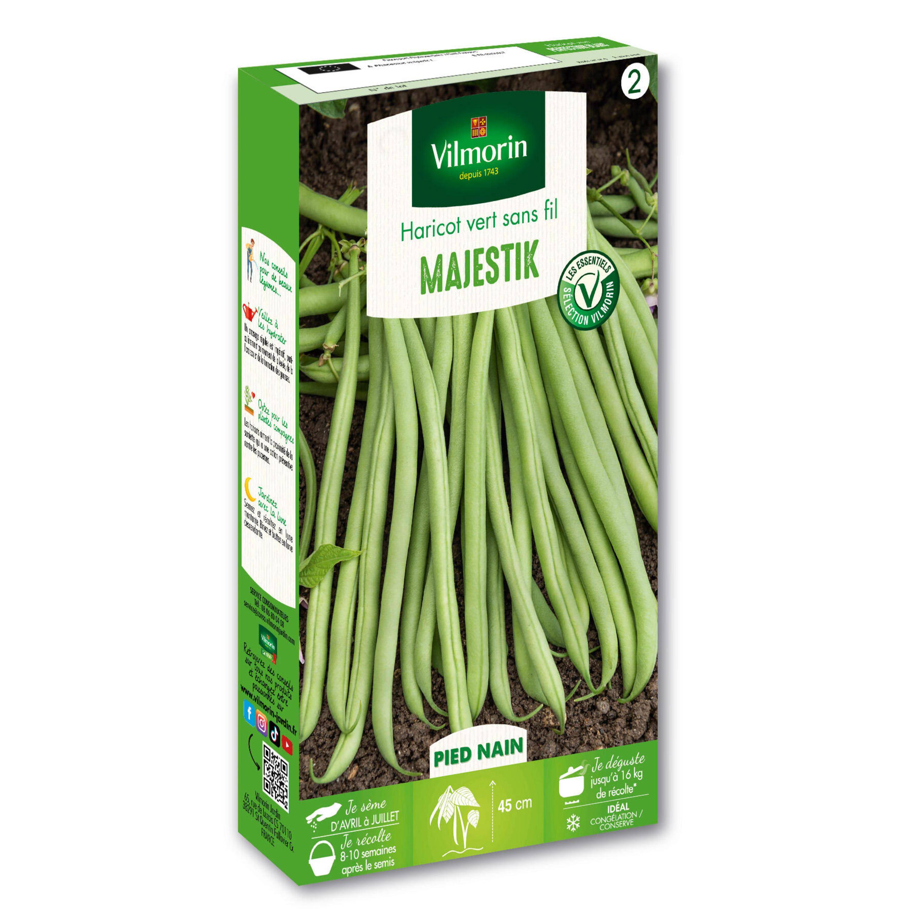 Vilmorin - Haricot nain vert sans fil Majestik (Déclivis) Boite de 200g - Série 2 -Vilmorin - Image 1