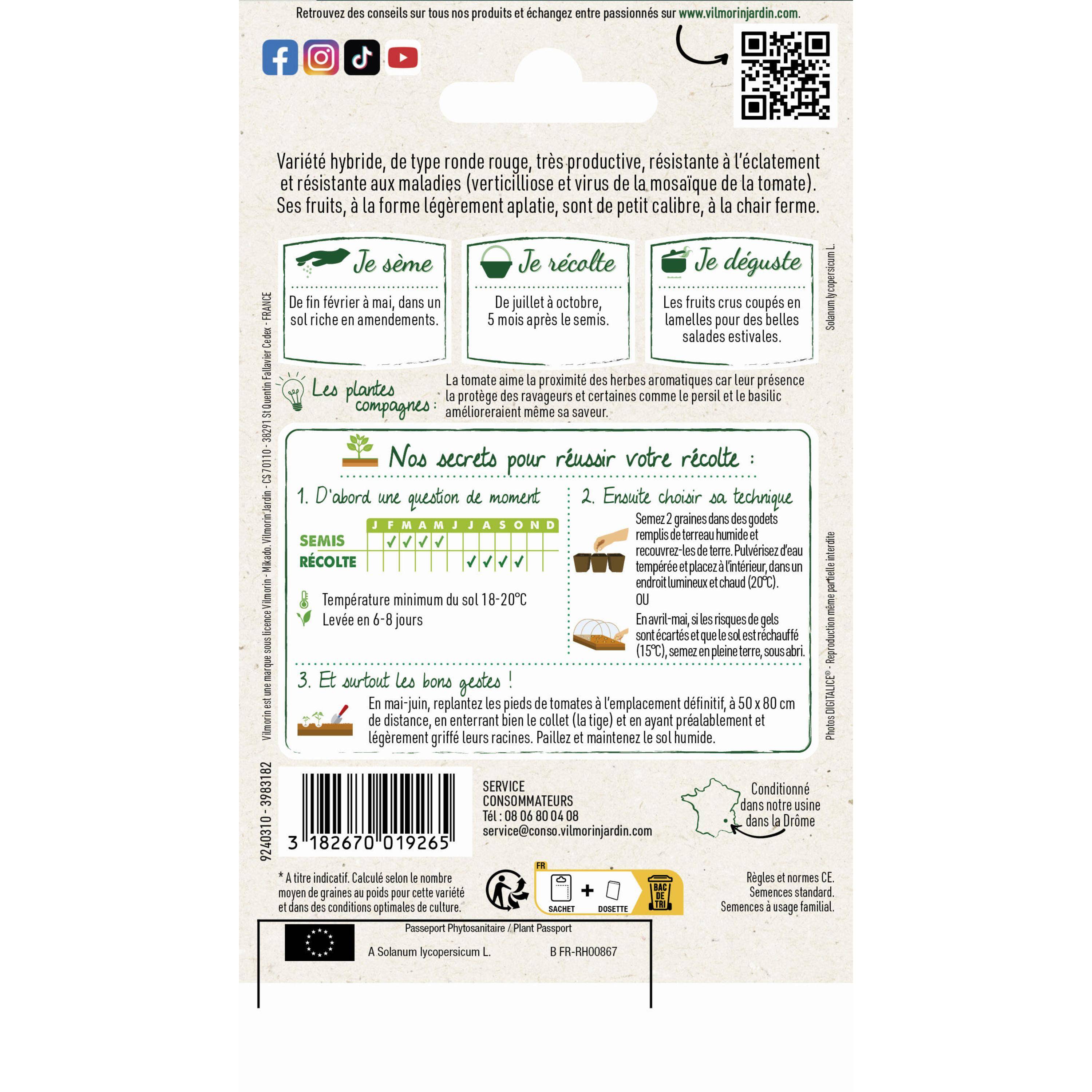 Vilmorin - Tomate Dona F1 Sachet de 0,1g - Série 2 -Vilmorin - Image 2
