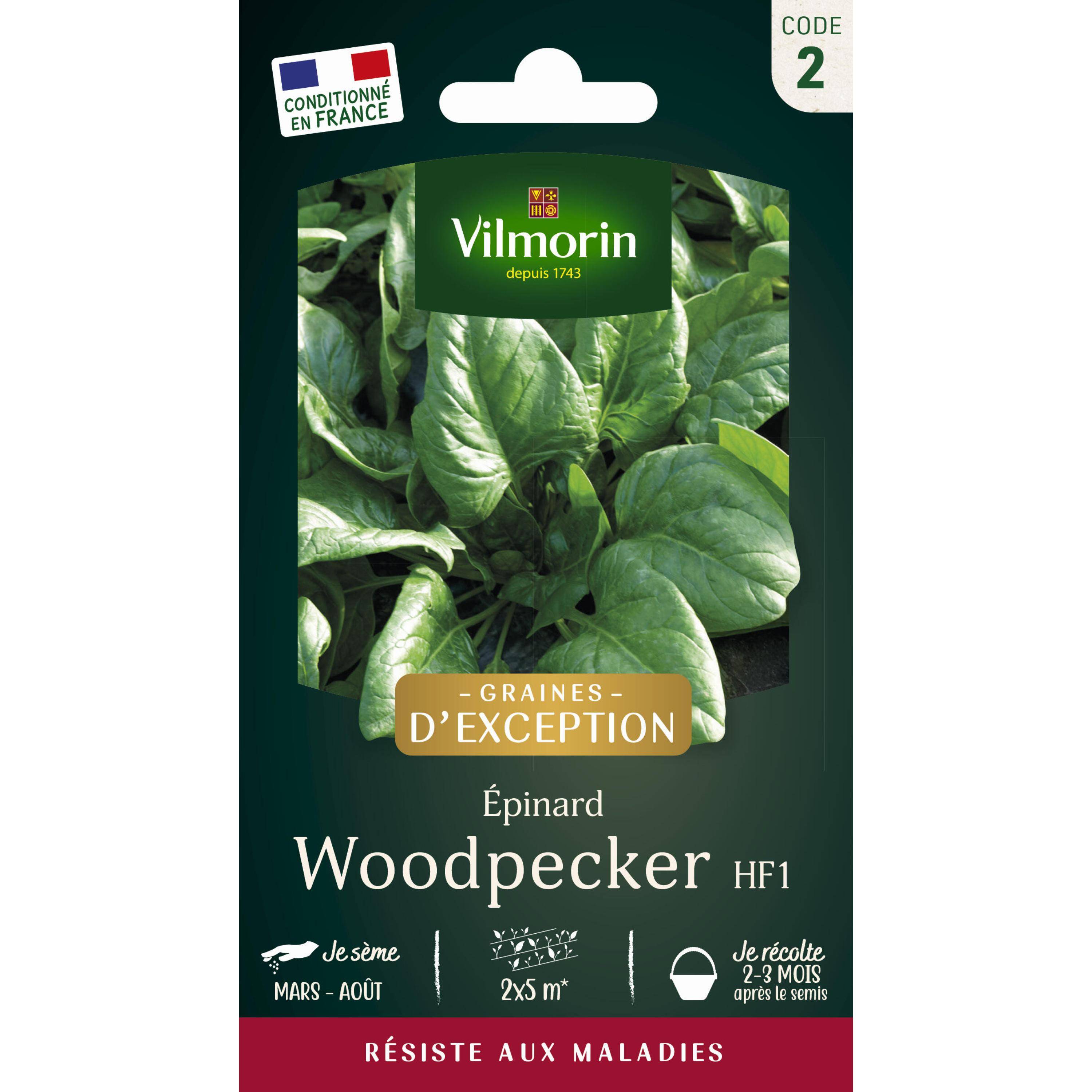 Vilmorin - Epinard Woodpecker HF1 - Graines d'Exception Sachet de 15g - Série 2 -Vilmorin - Image 1