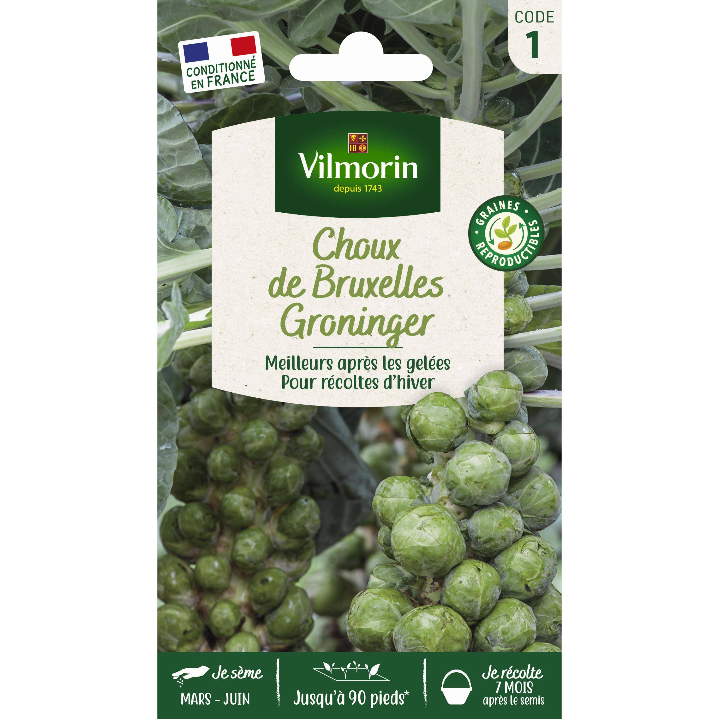 Vilmorin - Choux de Bruxelles Groninger Sachet de 2g - Série 1 -Vilmorin - Image 1