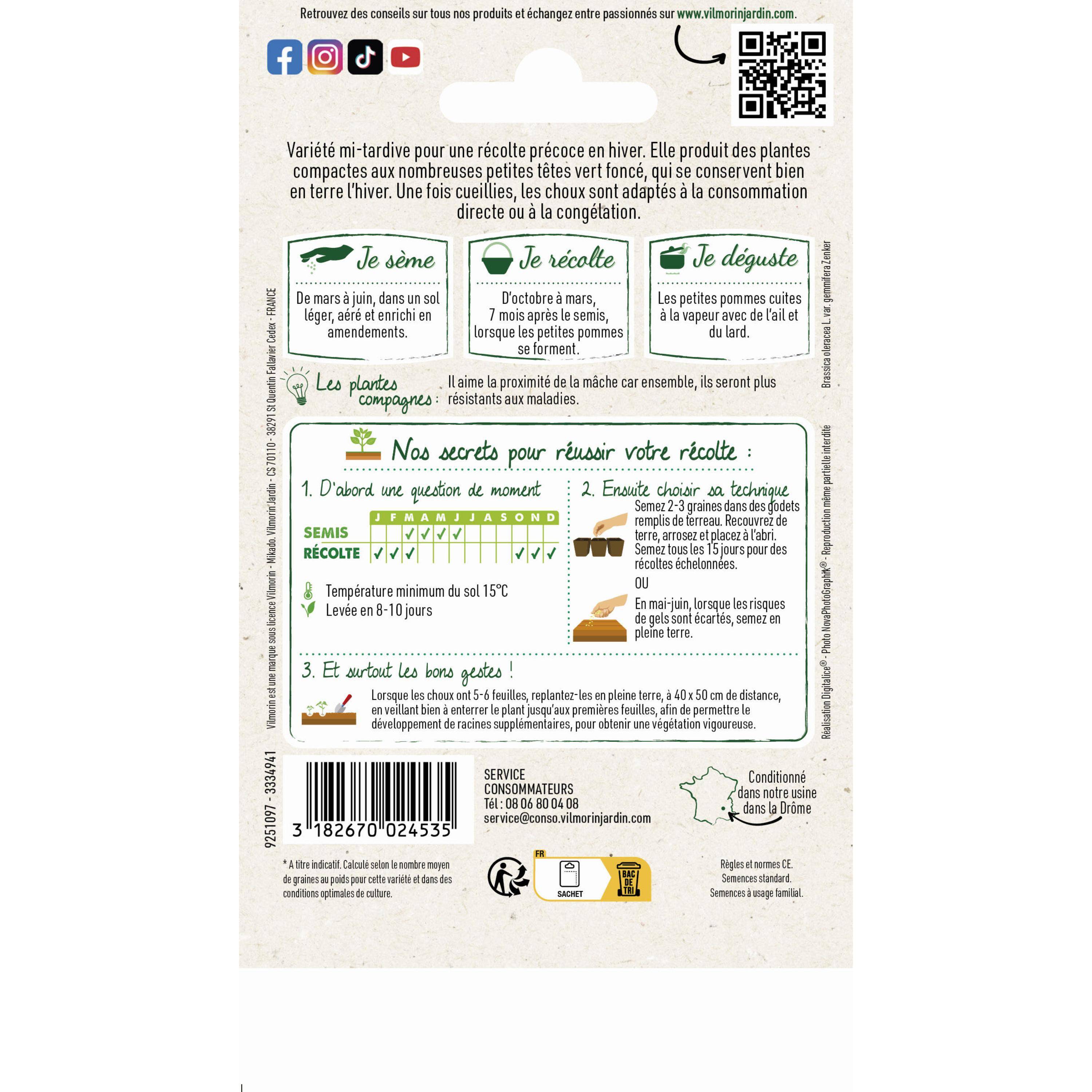 Vilmorin - Choux de Bruxelles Groninger Sachet de 2g - Série 1 -Vilmorin - Image 2