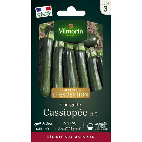 Vilmorin - Courgette Cassiopée HF1 - Graines d'Exception Sachet de 3g - Série 3 -Vilmorin - Image 1
