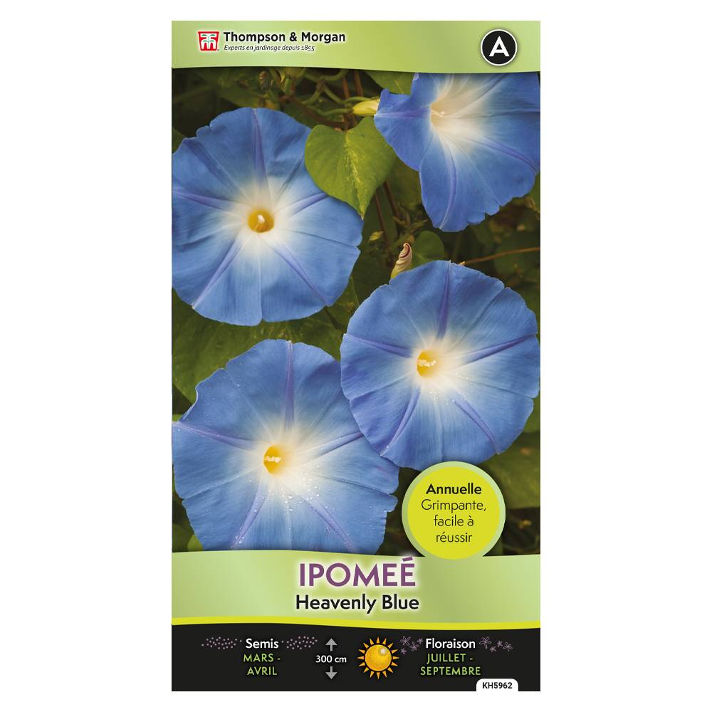 Graines d'Ipomée Heavenly Blue - Thompson & Morgan - Jardiland