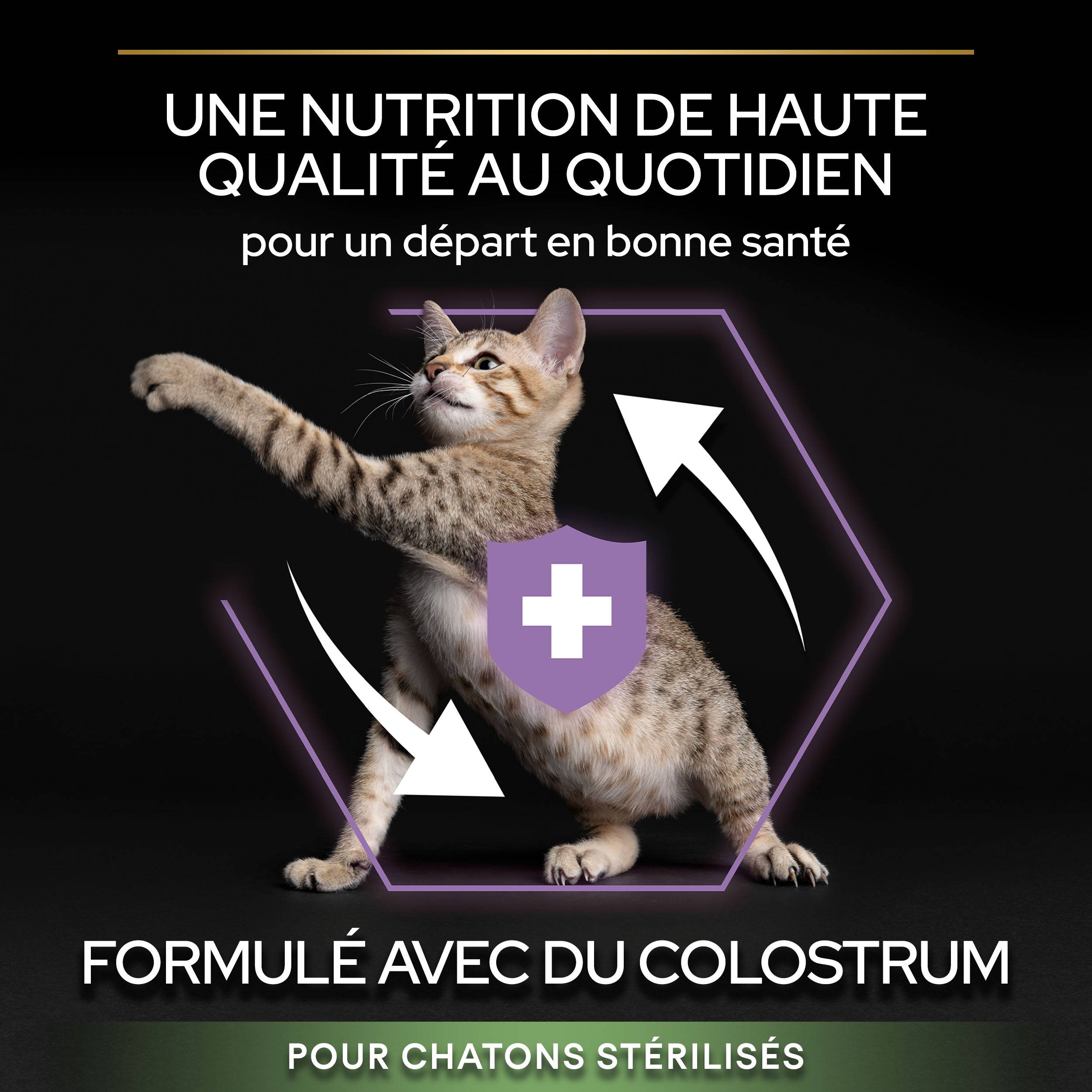 PRO PLAN Sterilised Kitten HEALTHY START Saumon 3kg - Imagen 7