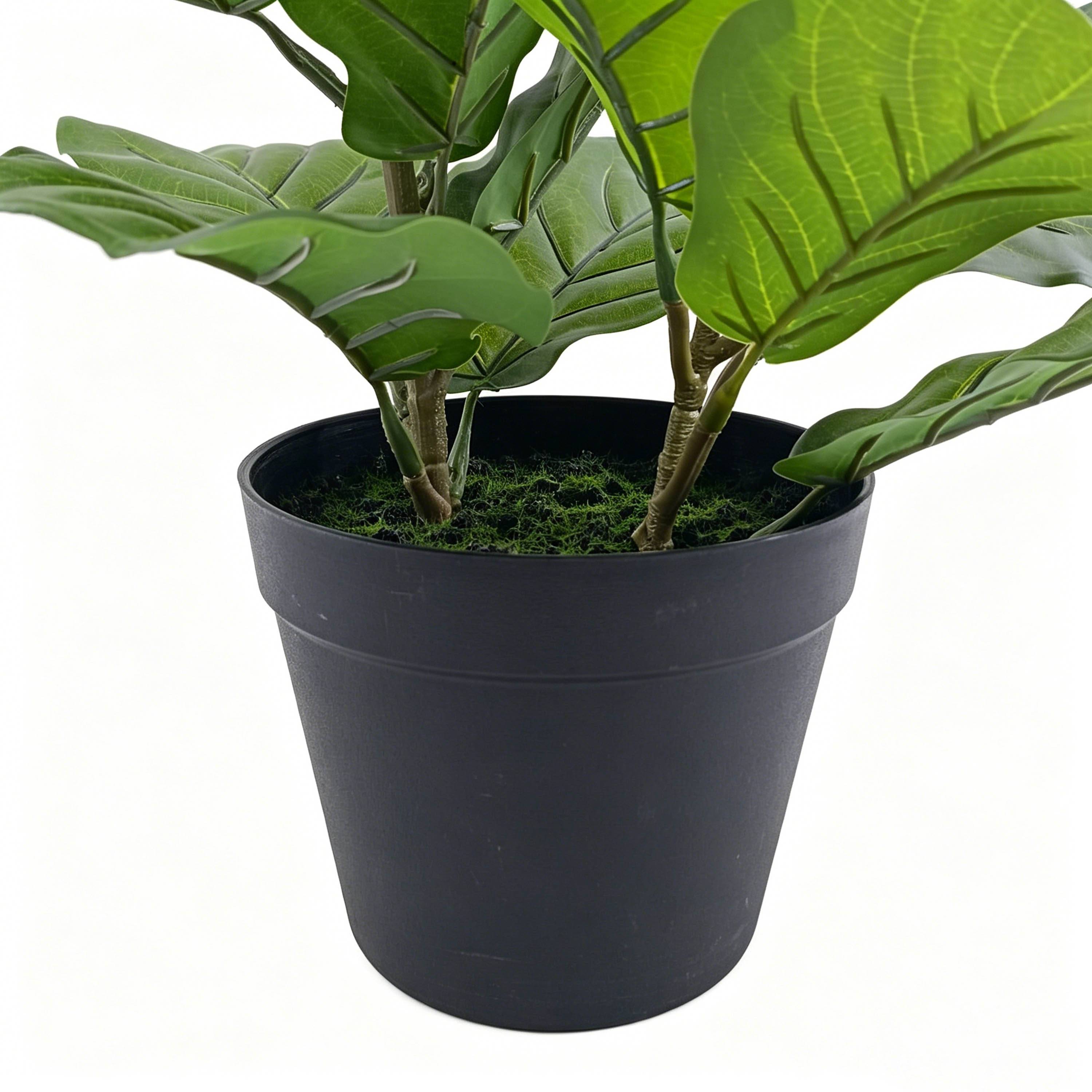 Ecloz - Ficus artificiel en pot - H. 42 cm - ECLOZ - Image 2