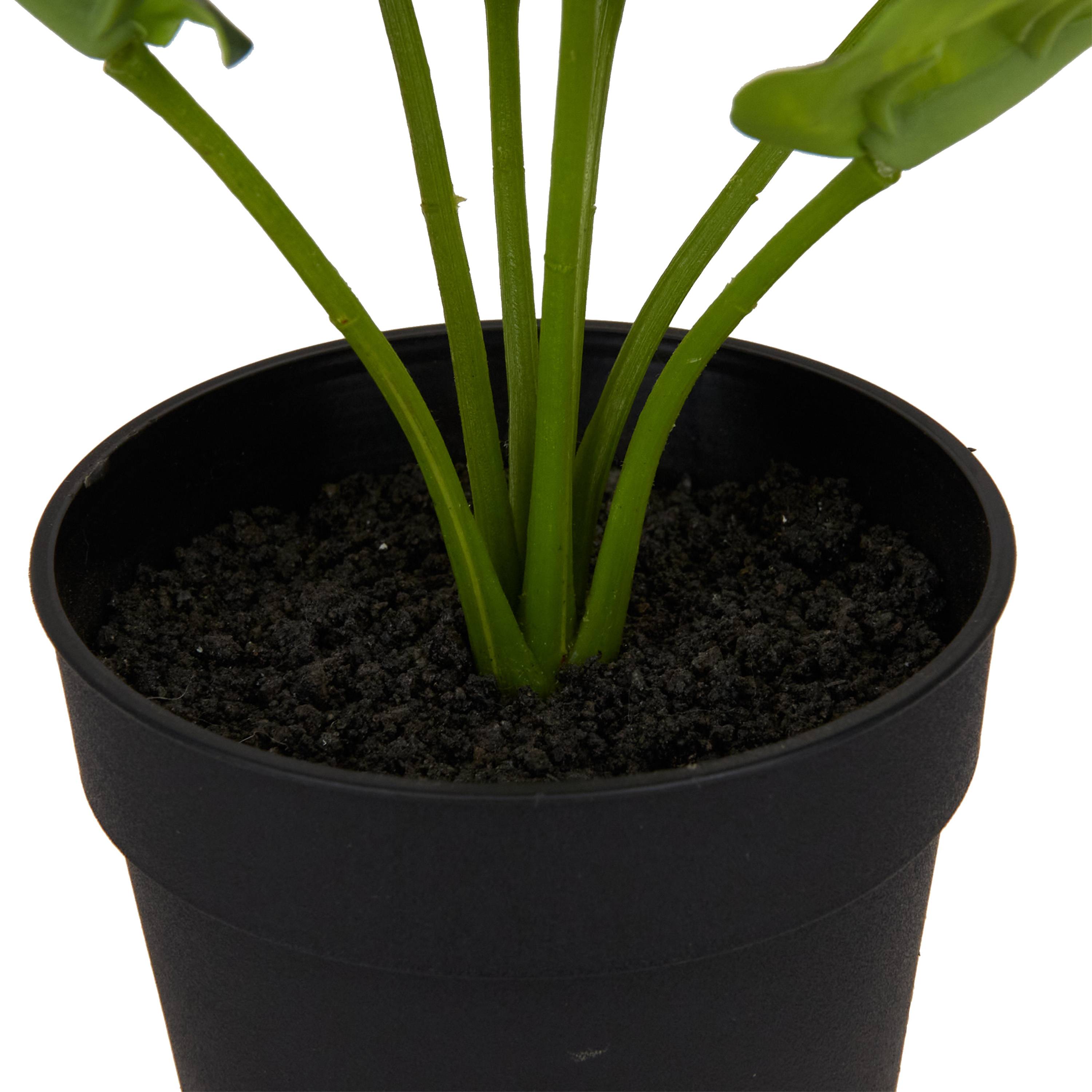 Ecloz - Calathea artificial en maceta - H. 23 cm - ECLOZ - Imagen 5