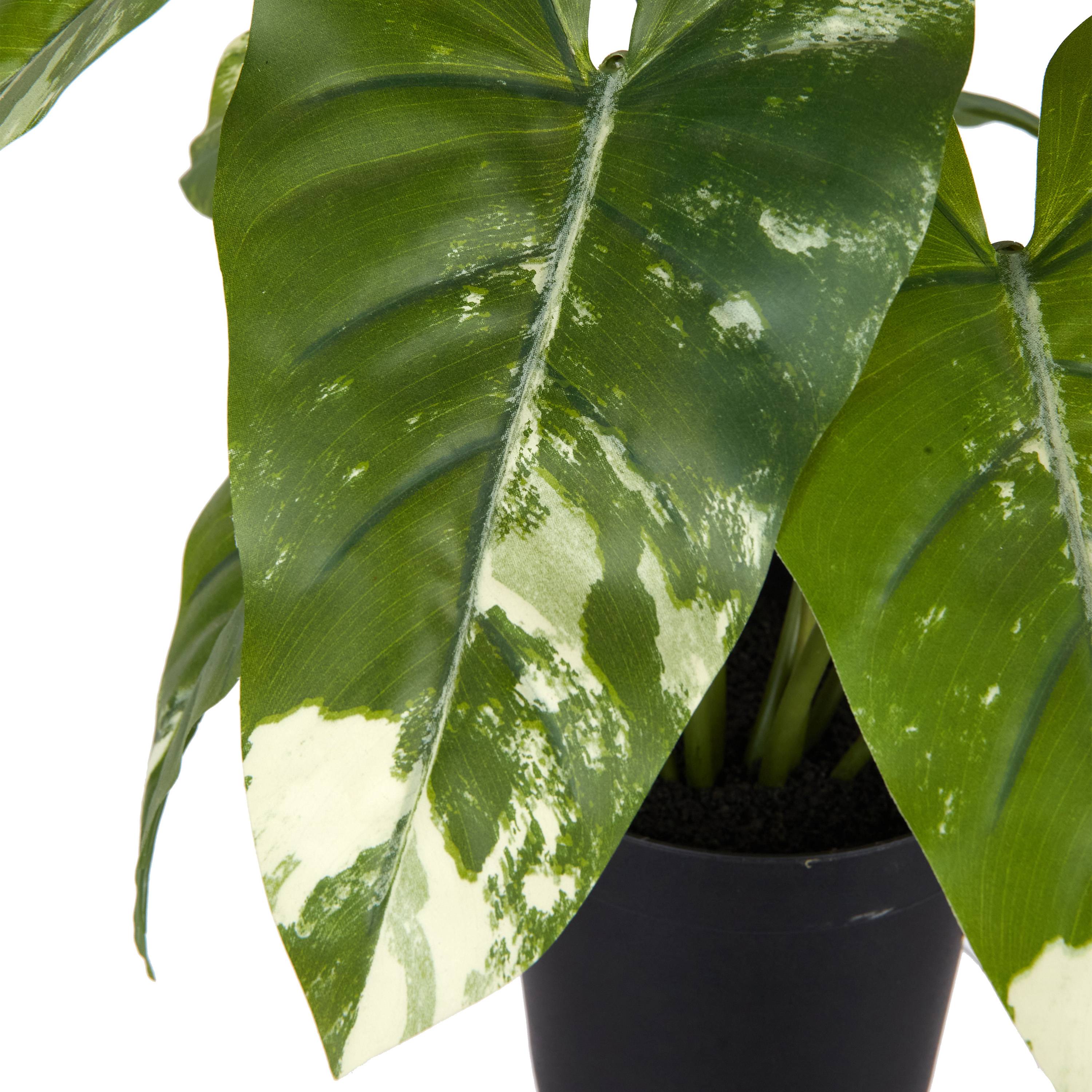 Ecloz - Alocasia panachée artificielle en pot - H. 51 cm - ECLOZ - Image 4
