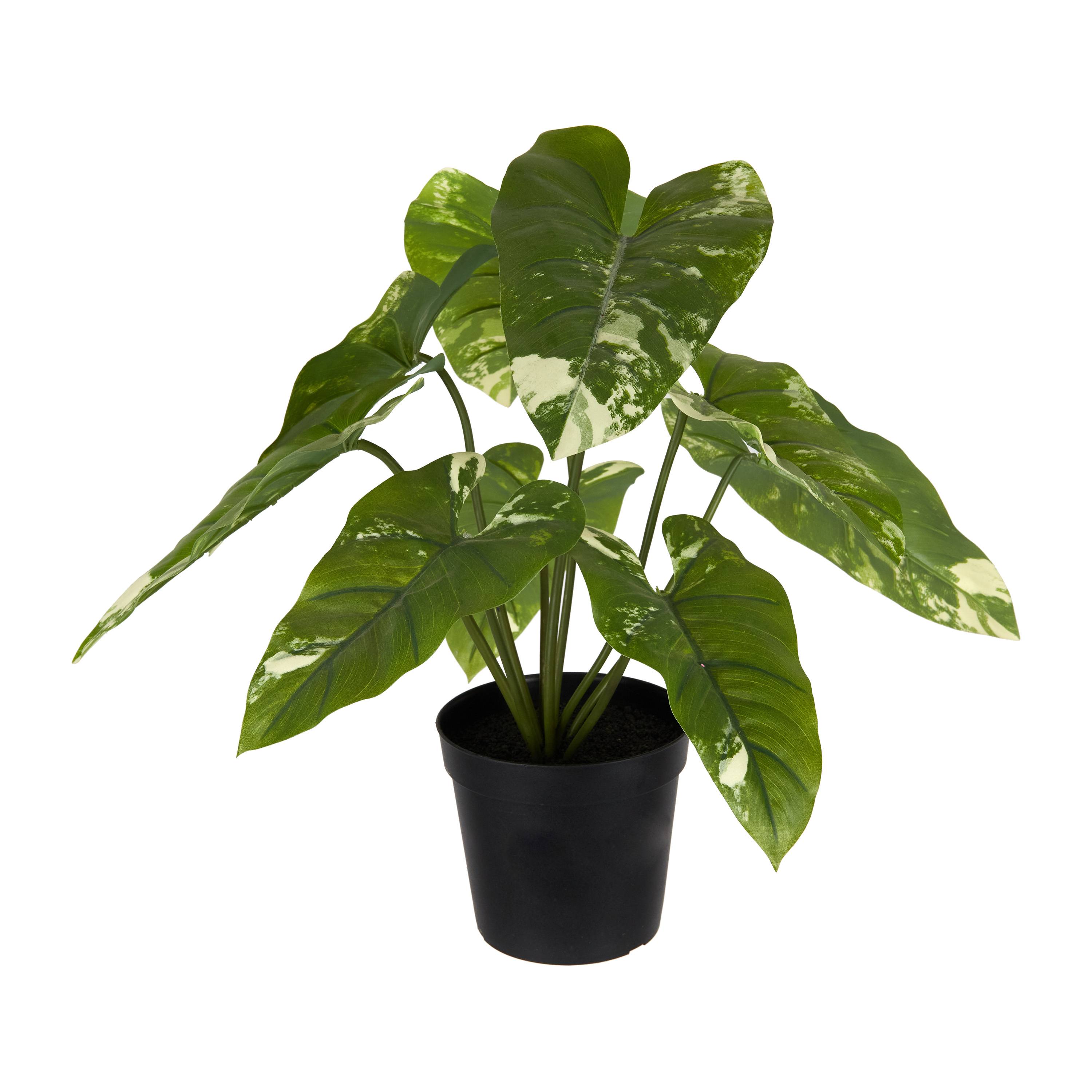 Ecloz - Alocasia panachée artificielle en pot - H. 51 cm - ECLOZ - Image 1