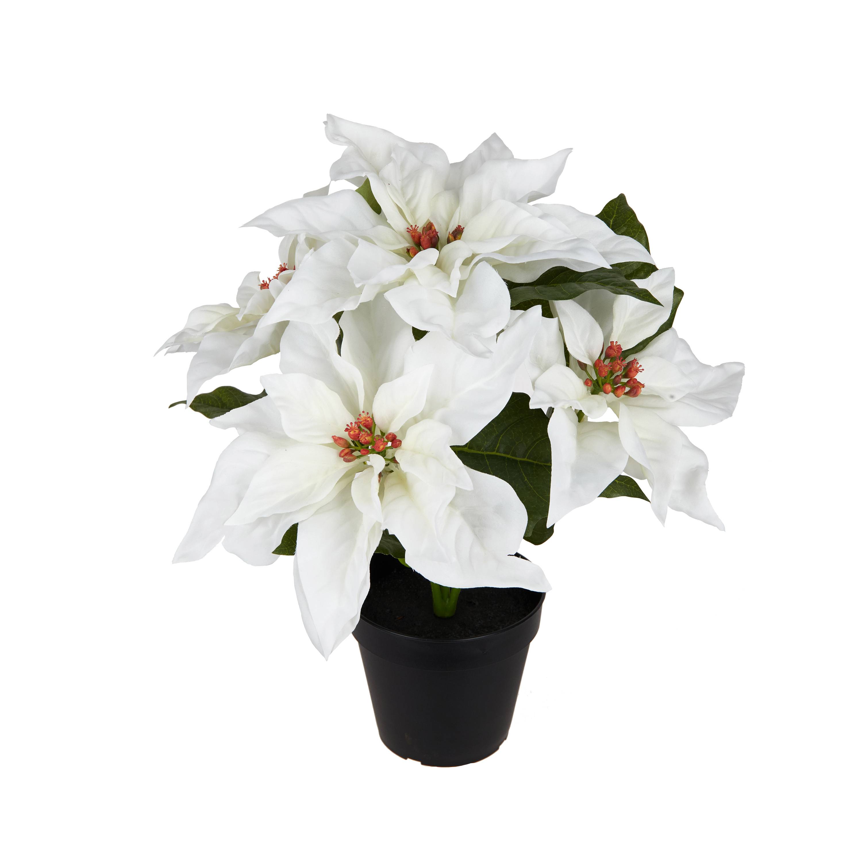 Ecloz - Poinsettia artificial blanco en maceta - H. 34 cm - ECLOZ