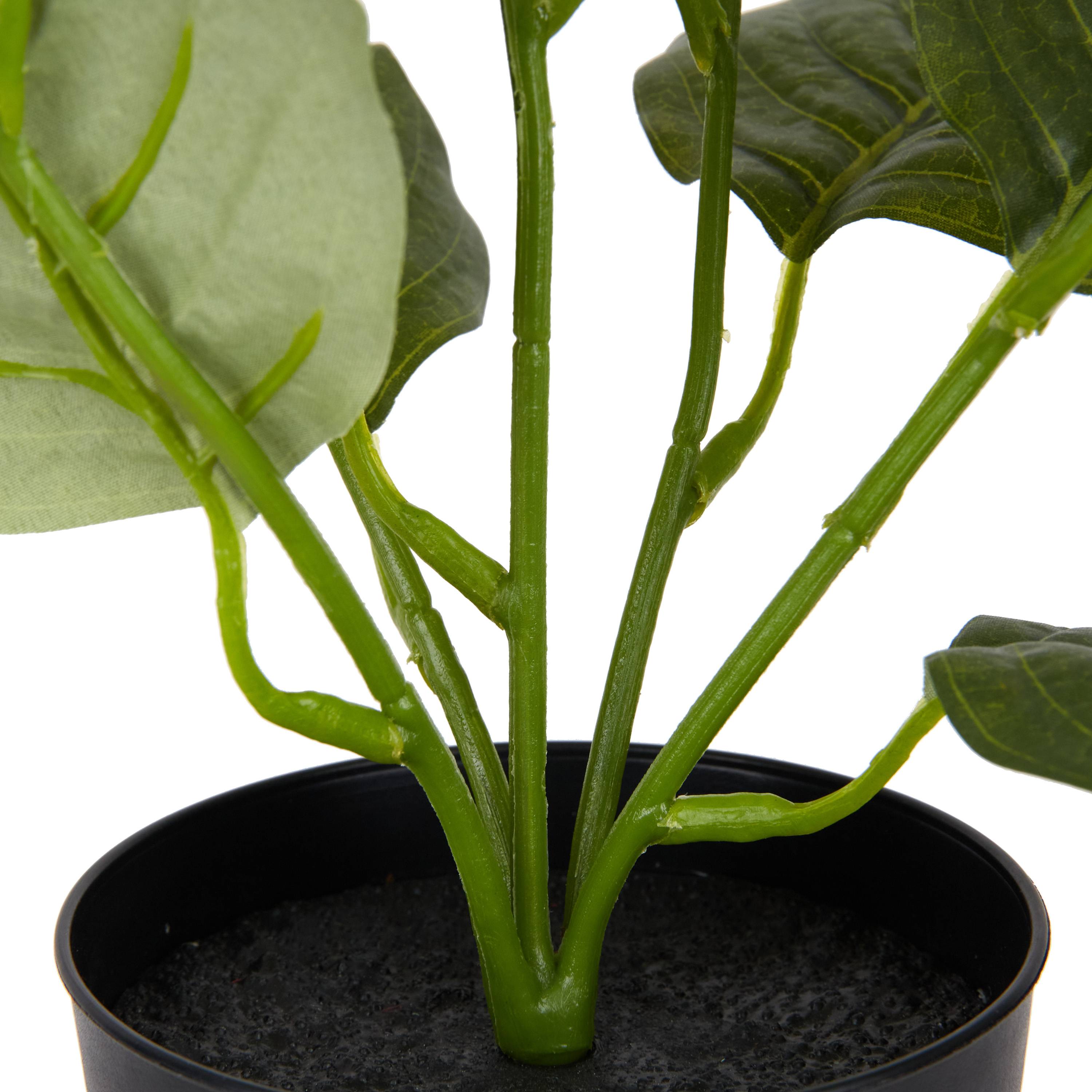 Ecloz - Poinsettia artificiel blanc en pot - H. 34 cm - ECLOZ - Image 2