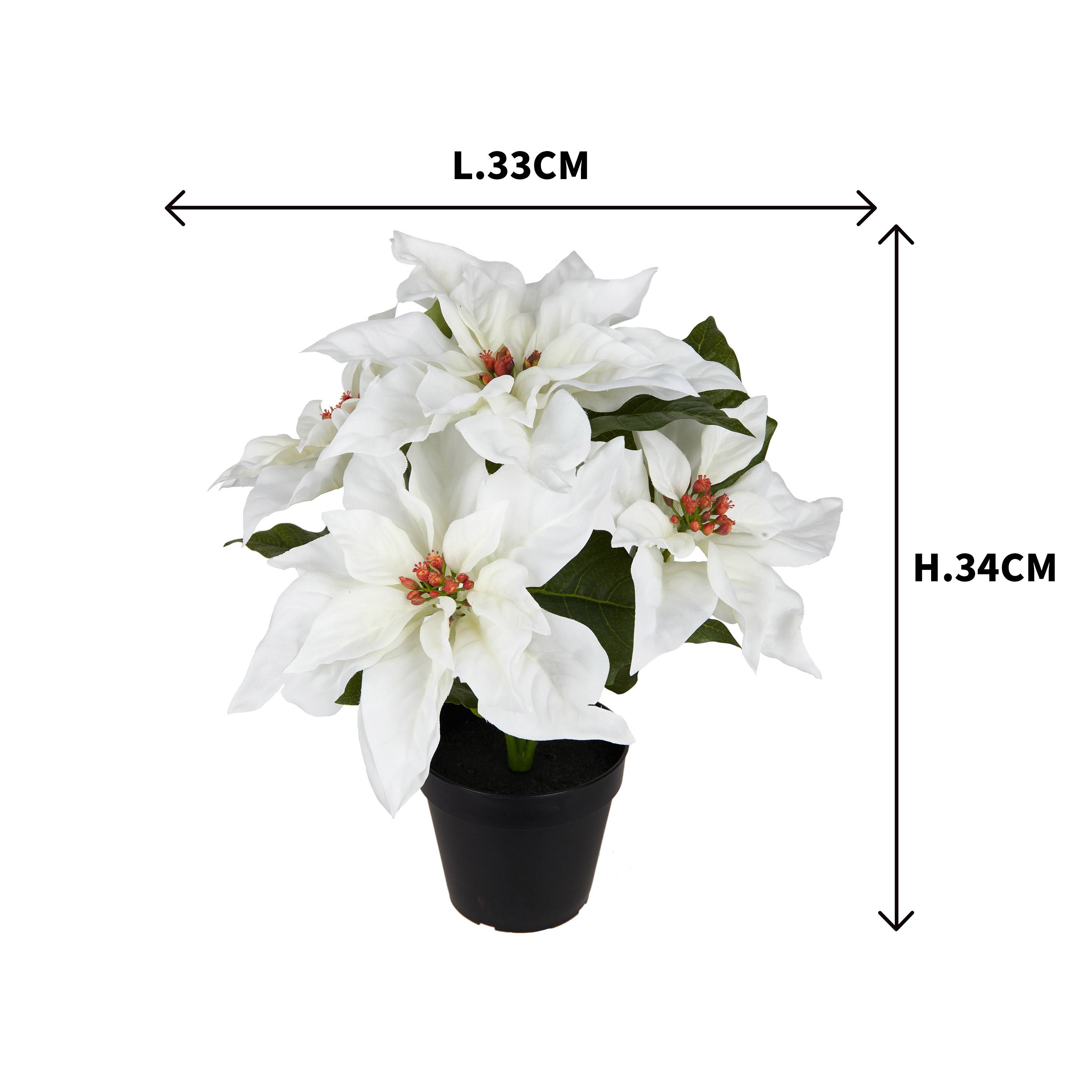 Ecloz - Poinsettia artificiel blanc en pot - H. 34 cm - ECLOZ - Image 3