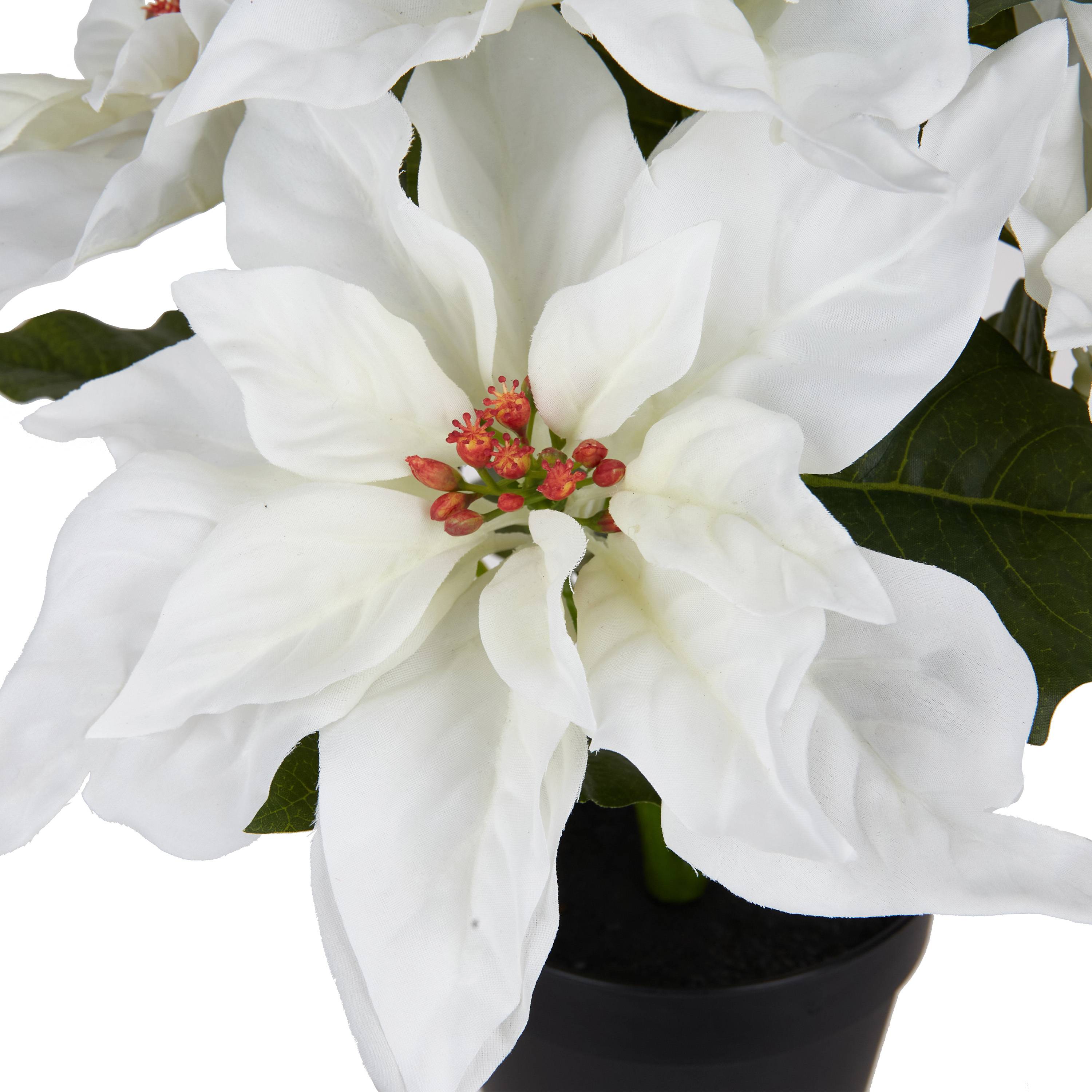 Ecloz - Poinsettia artificiel blanc en pot - H. 34 cm - ECLOZ - Image 4