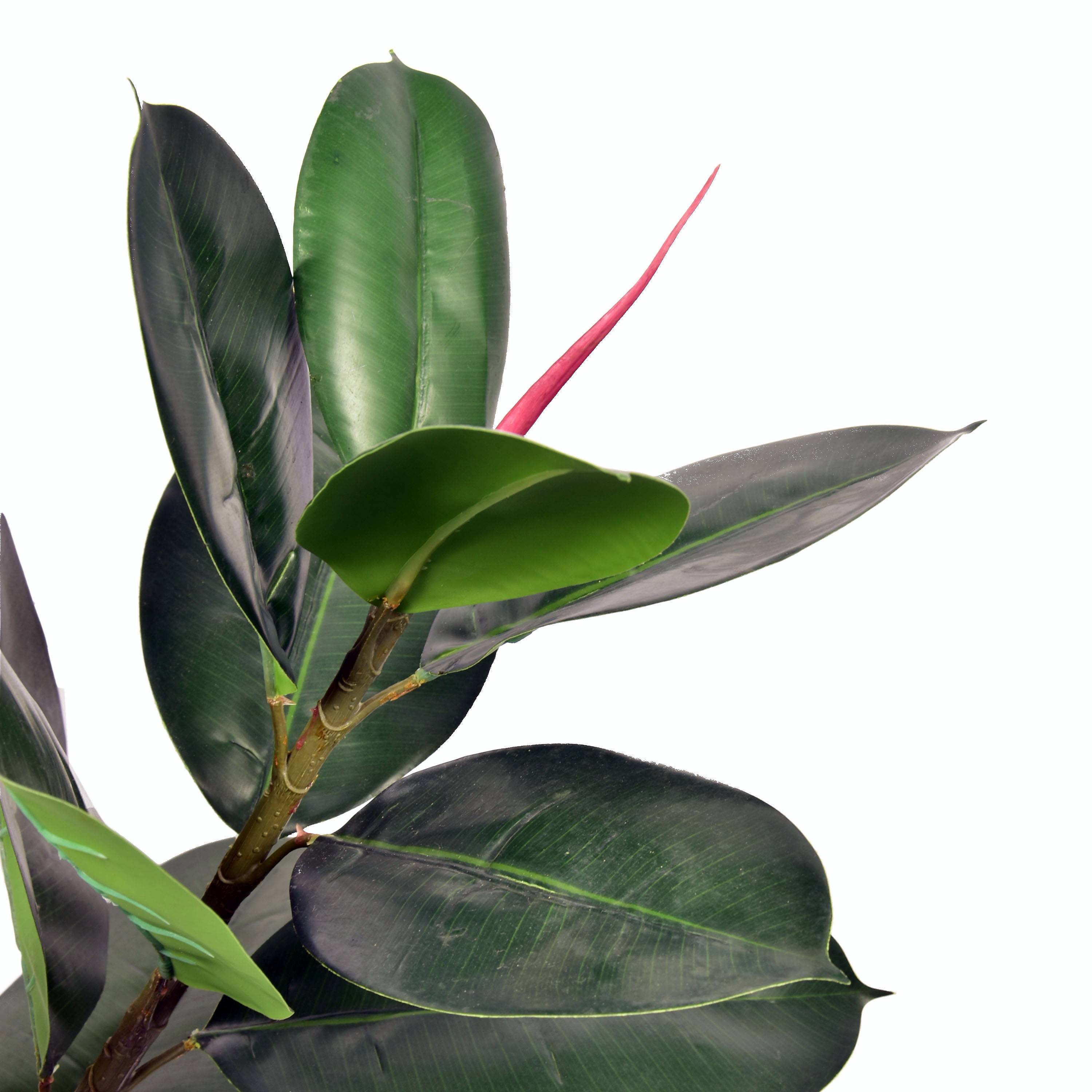 Ecloz - Ficus lyrata artificial en maceta - H. 90 cm - ECLOZ - Imagen 2