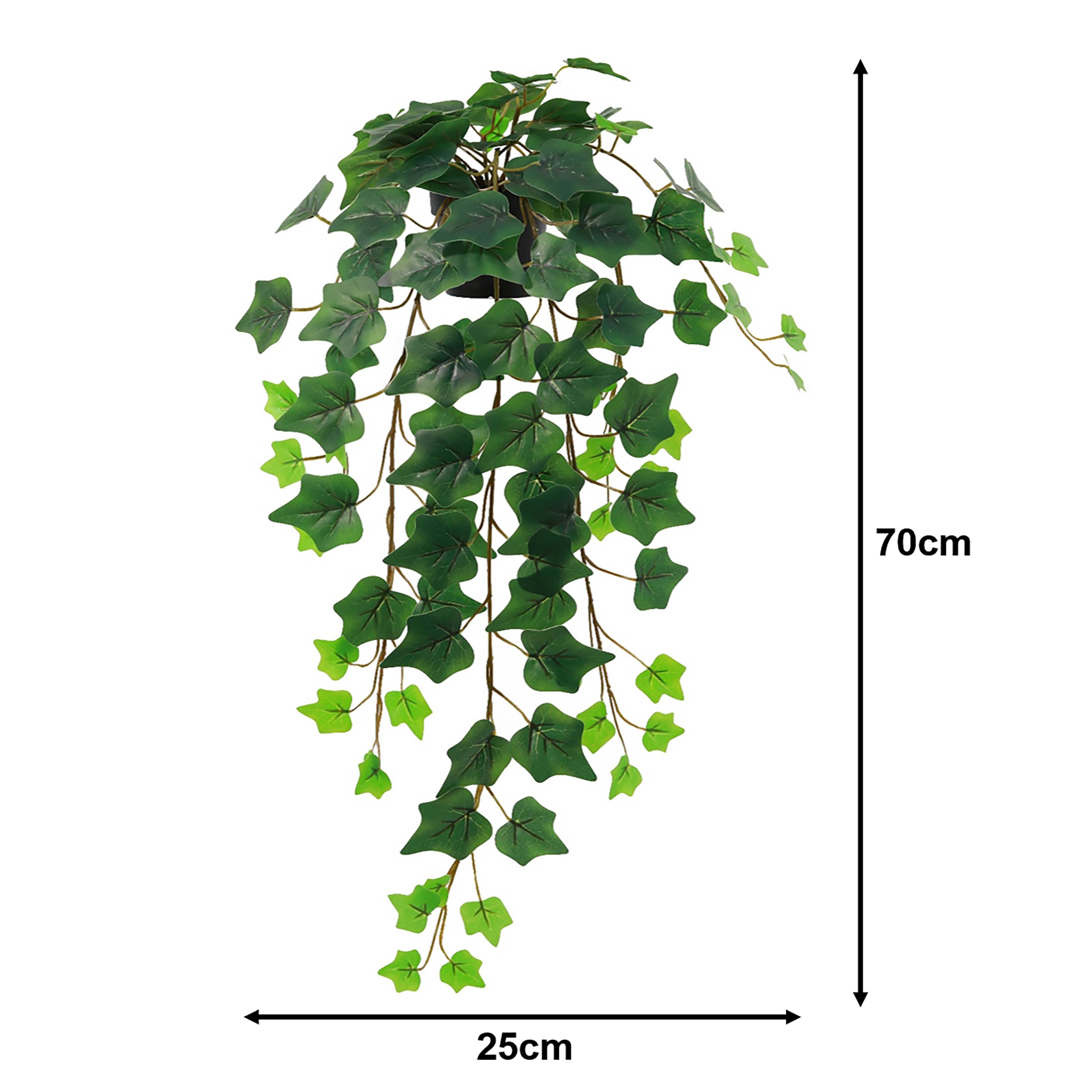 Ecloz - Lierre artificiel retombant en pot - L. 70 cm - ECLOZ - Image 2