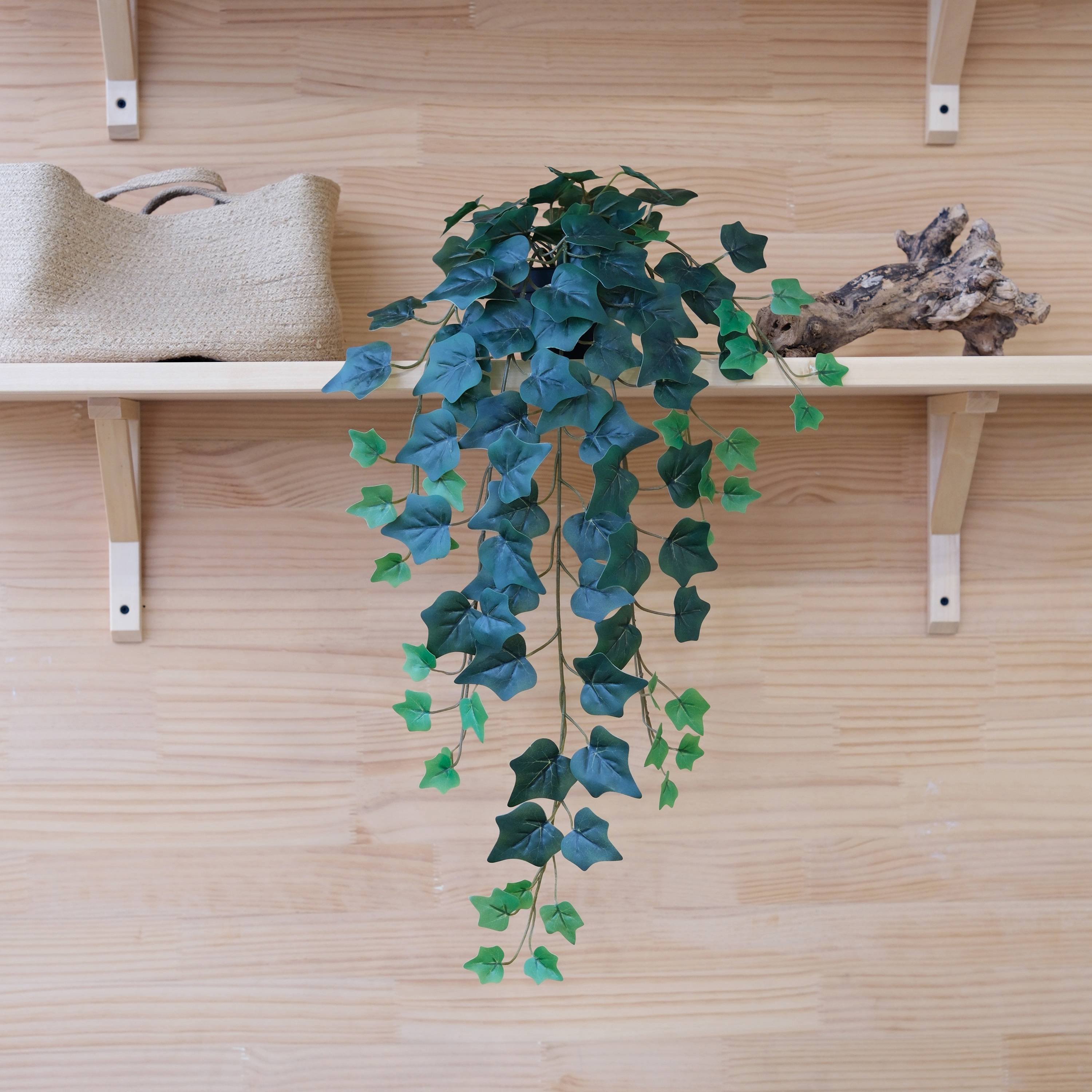 Ecloz - Hiedra artificial colgante en maceta - L. 70 cm - ECLOZ - Imagen 4