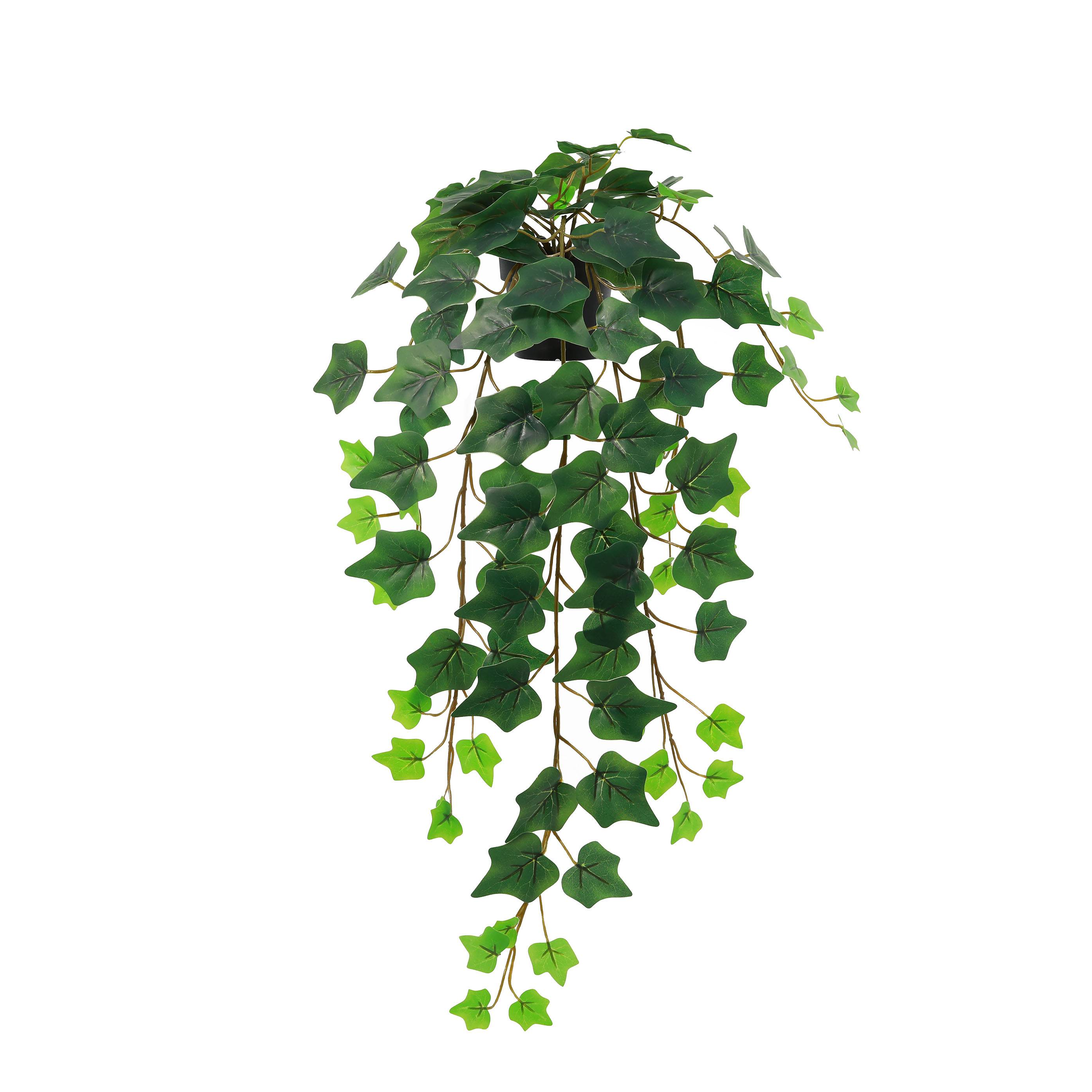 Ecloz - Lierre artificiel retombant en pot - L. 70 cm - ECLOZ - Image 1
