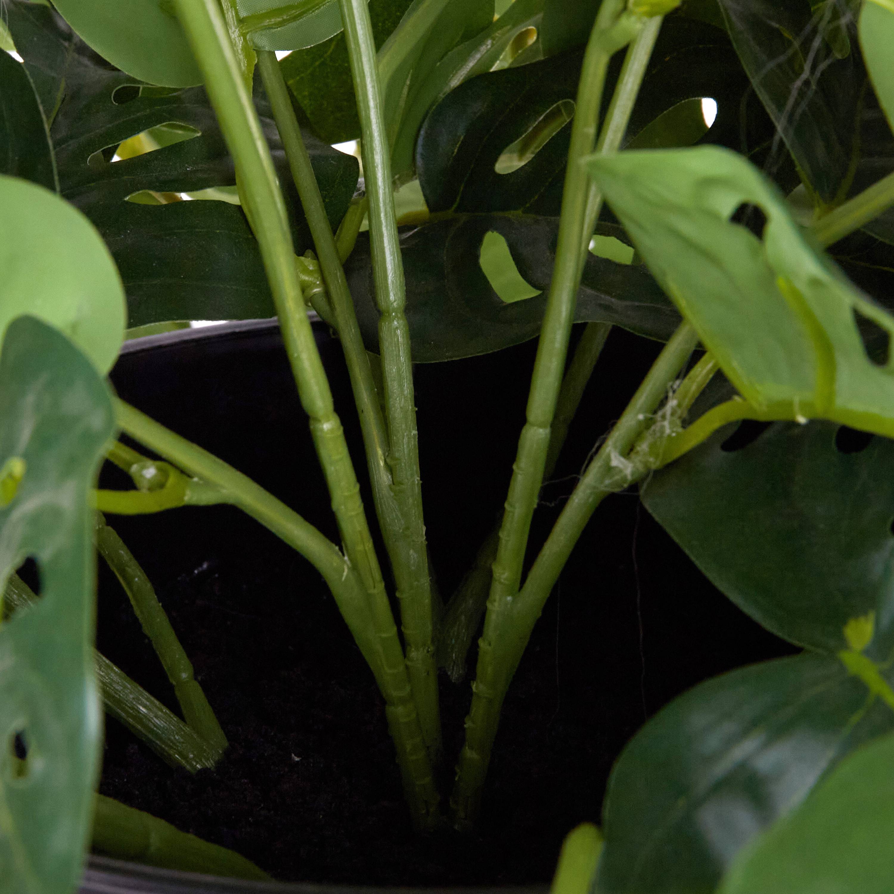 Ecloz - Monstera artificiel retombant en pot - L. 81 cm - ECLOZ - Image 4