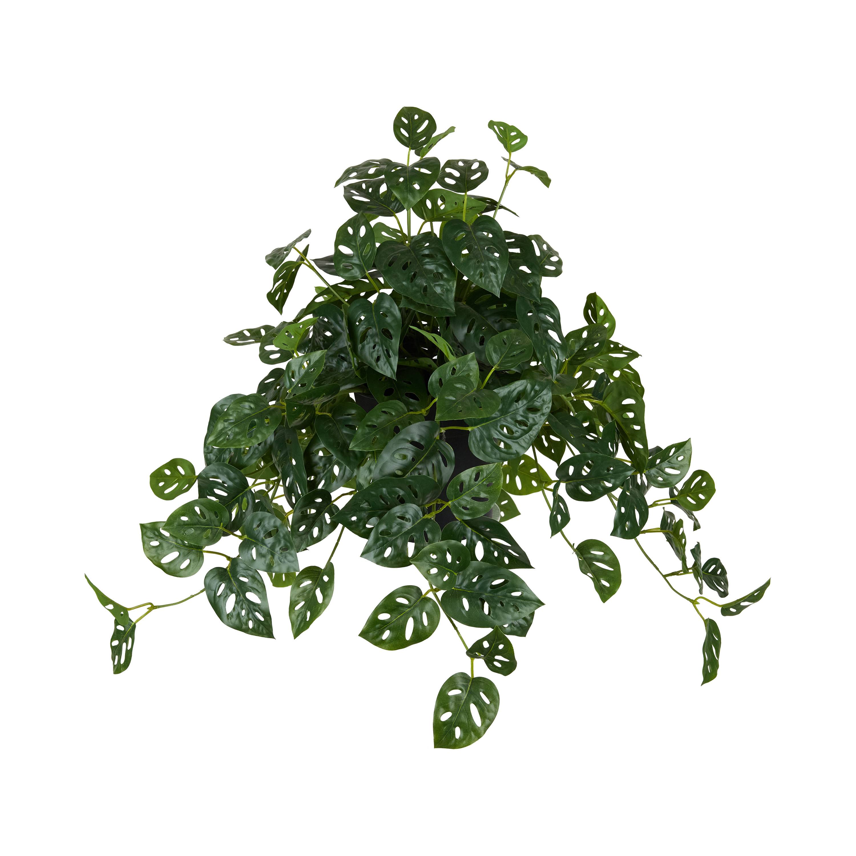 Ecloz - Monstera artificiel retombant en pot - L. 81 cm - ECLOZ - Image 1