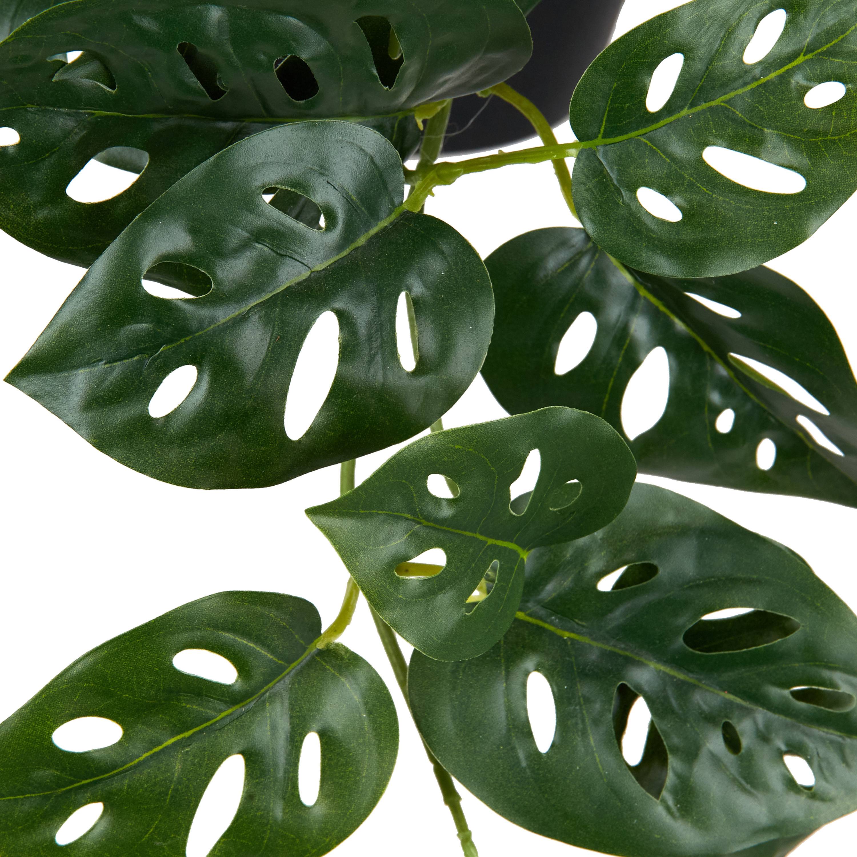 Ecloz - Monstera artificiel retombant en pot - L. 81 cm - ECLOZ - Image 2