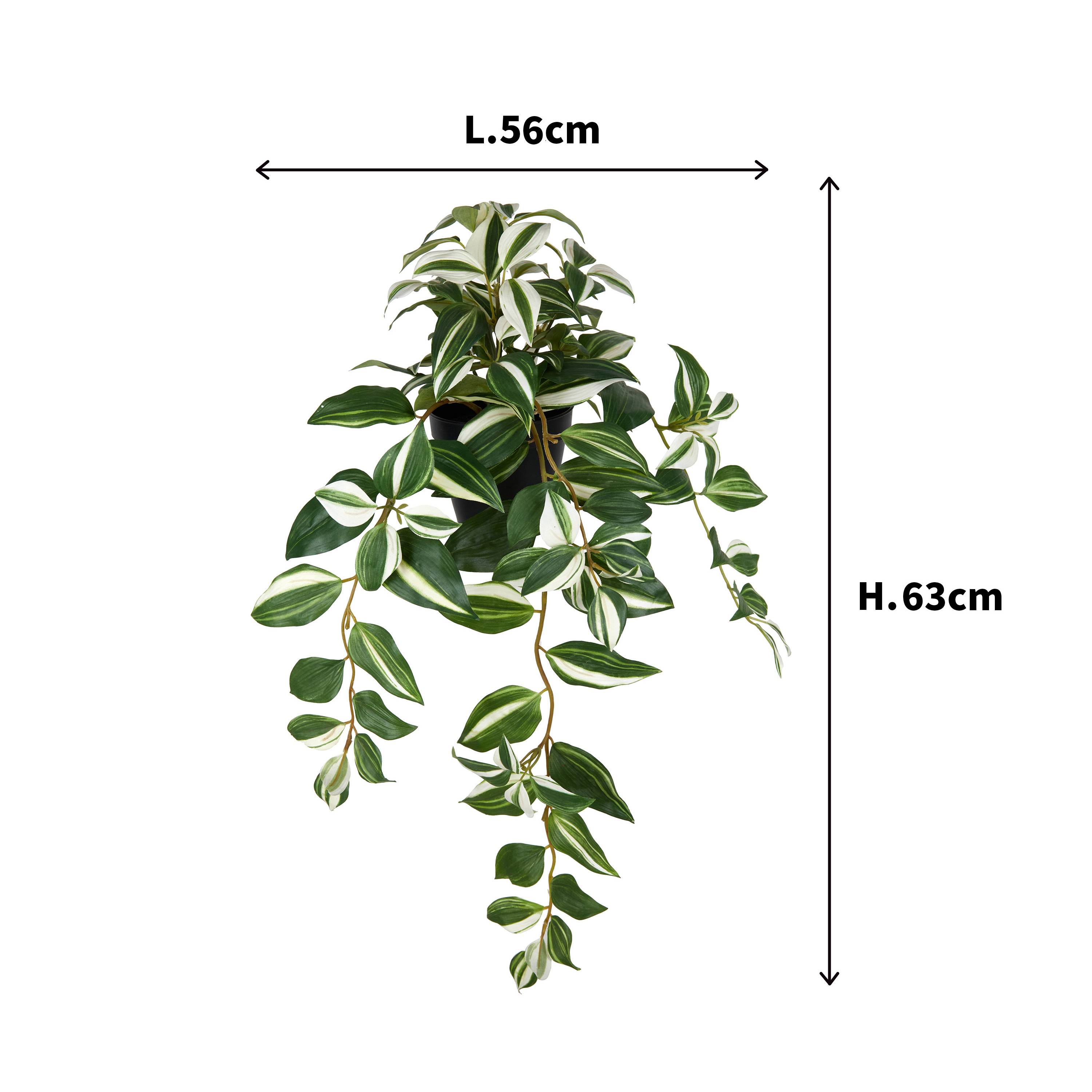 Ecloz - Tradescantia artificiel retombant en pot - L. 63 cm - ECLOZ - Image 2